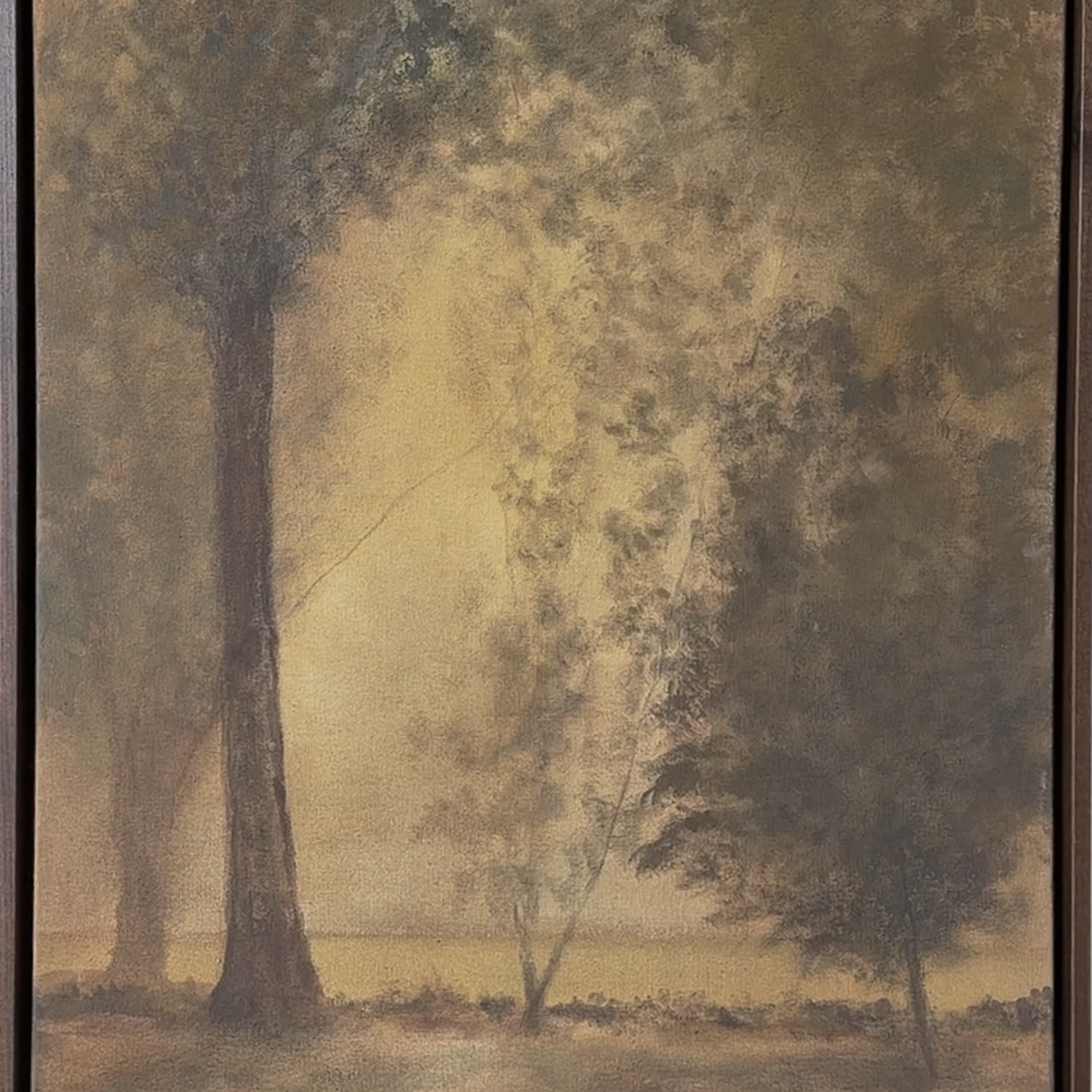 Through the Trees IV (1).png