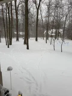 Two Moms &amp; God’s Peace