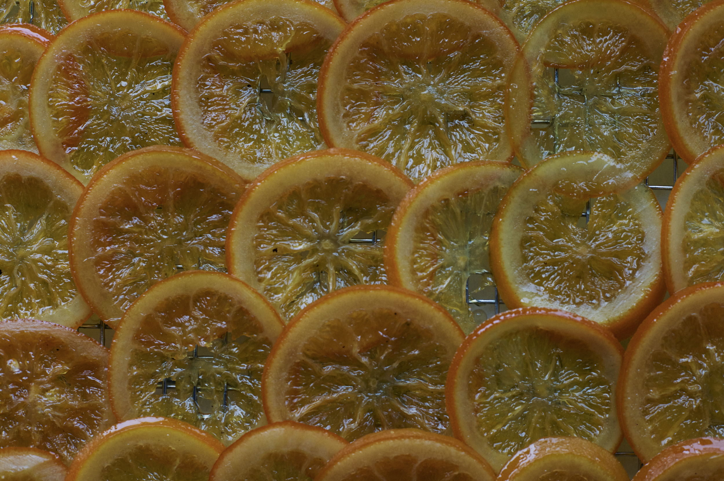 Screen Shot 2025-12-18 at 9.43.57 AM.png