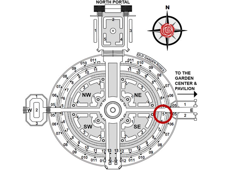 Paloma Blanca — Kansas City Rose Society