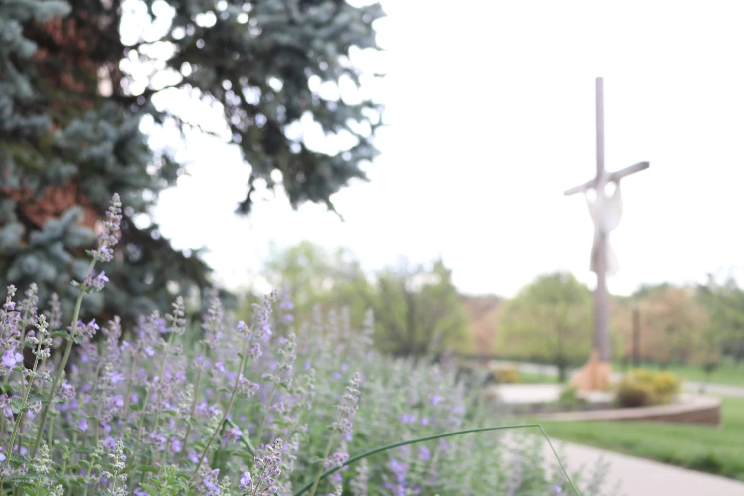 Bulletins & Publications — St. Maximilian Kolbe Catholic Church