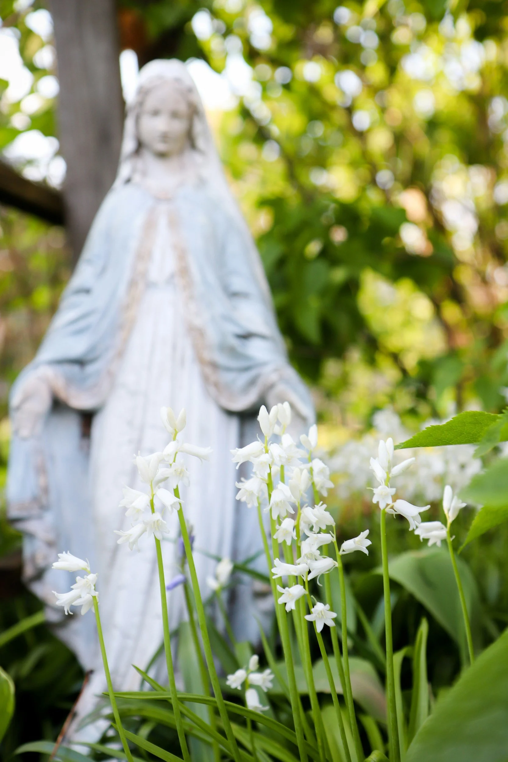 Marian Garden Project