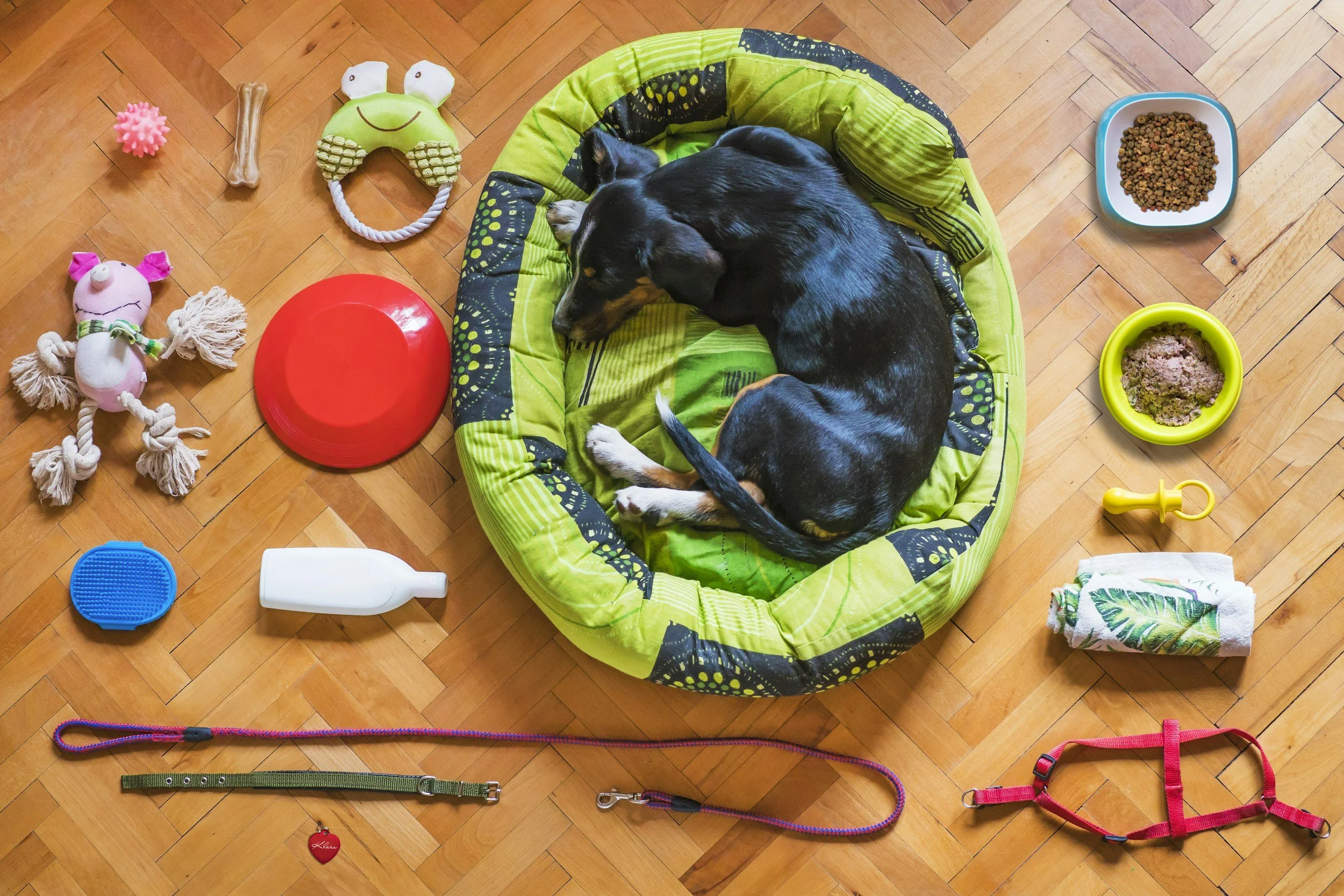 Annual Pet Supply Drive