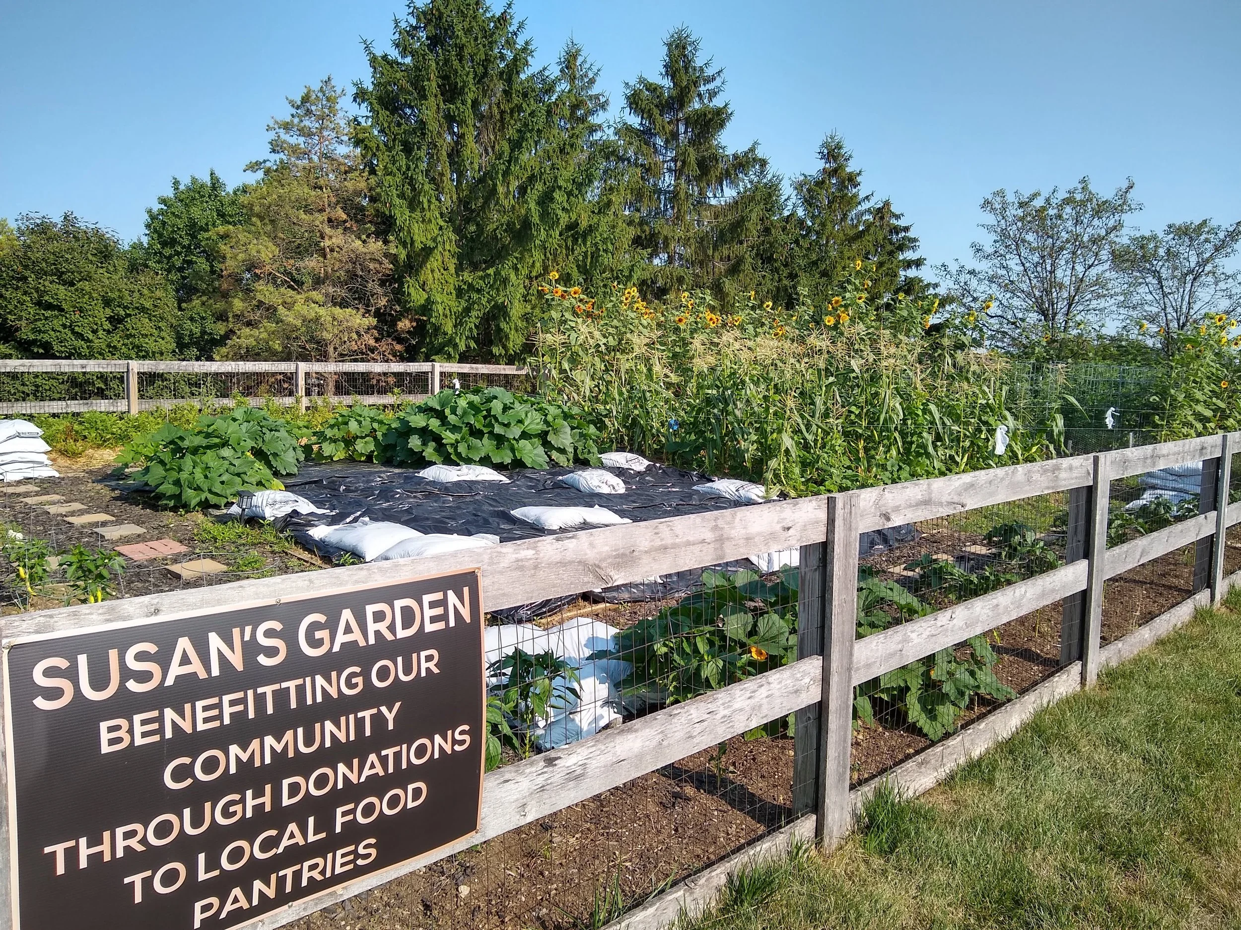 Susans Garden.jpg