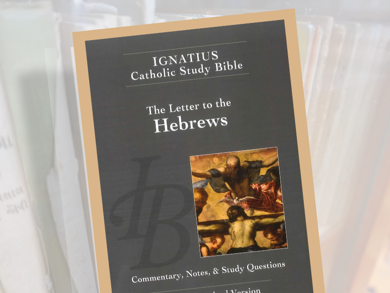 Hebrews (Ignatius Press)