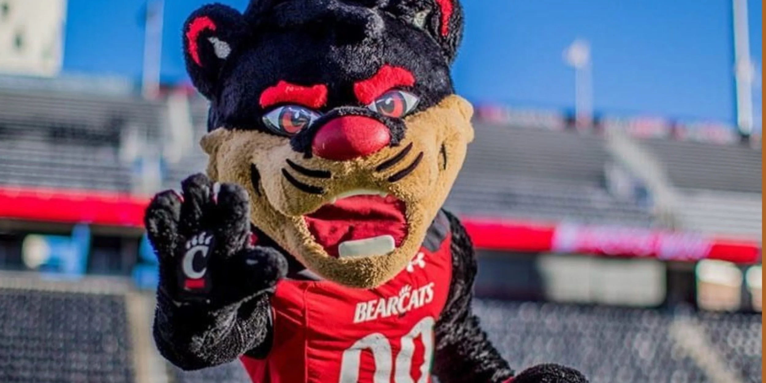 UC BEARCAT