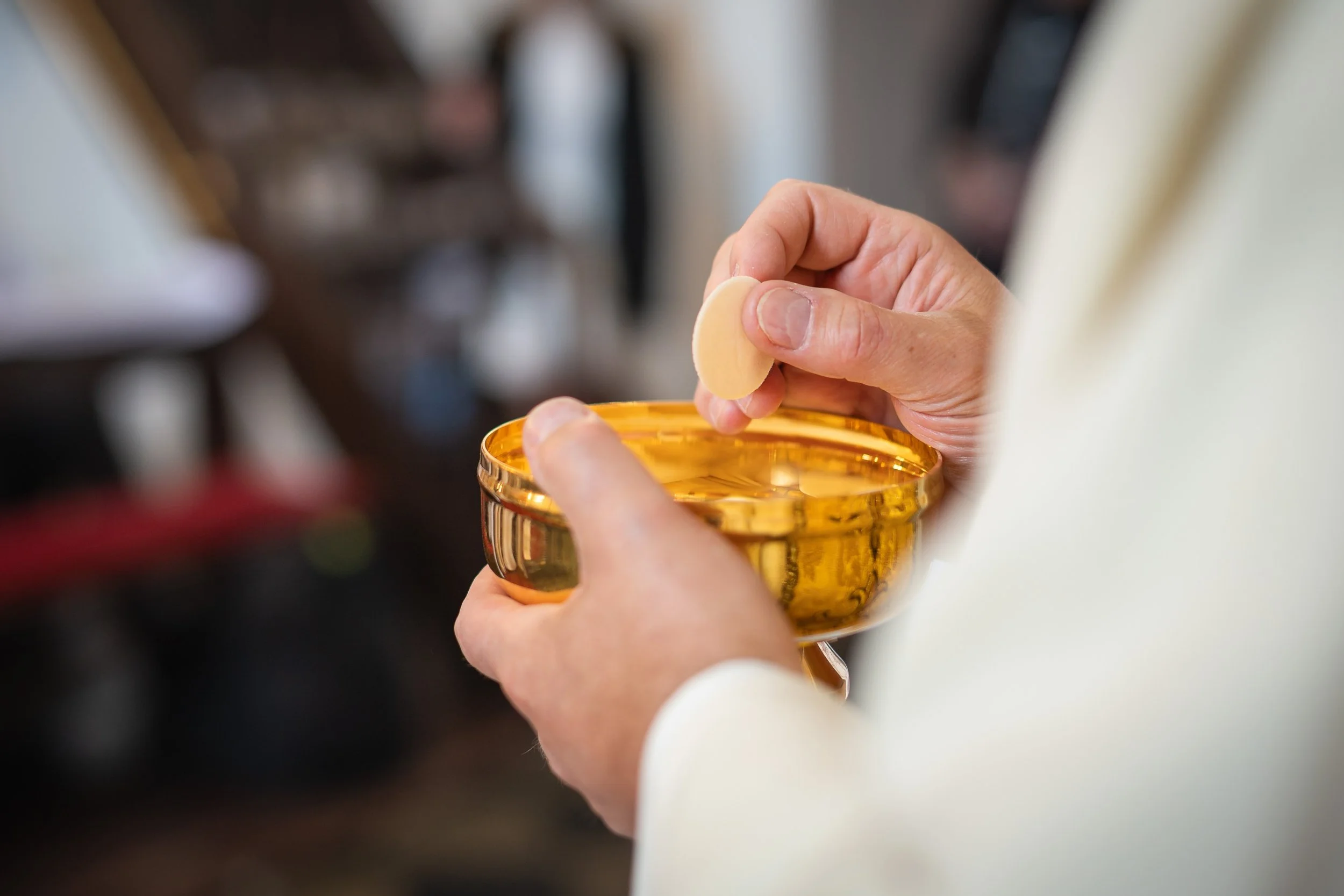 Extraordinary Ministers of Holy Communion Trainings