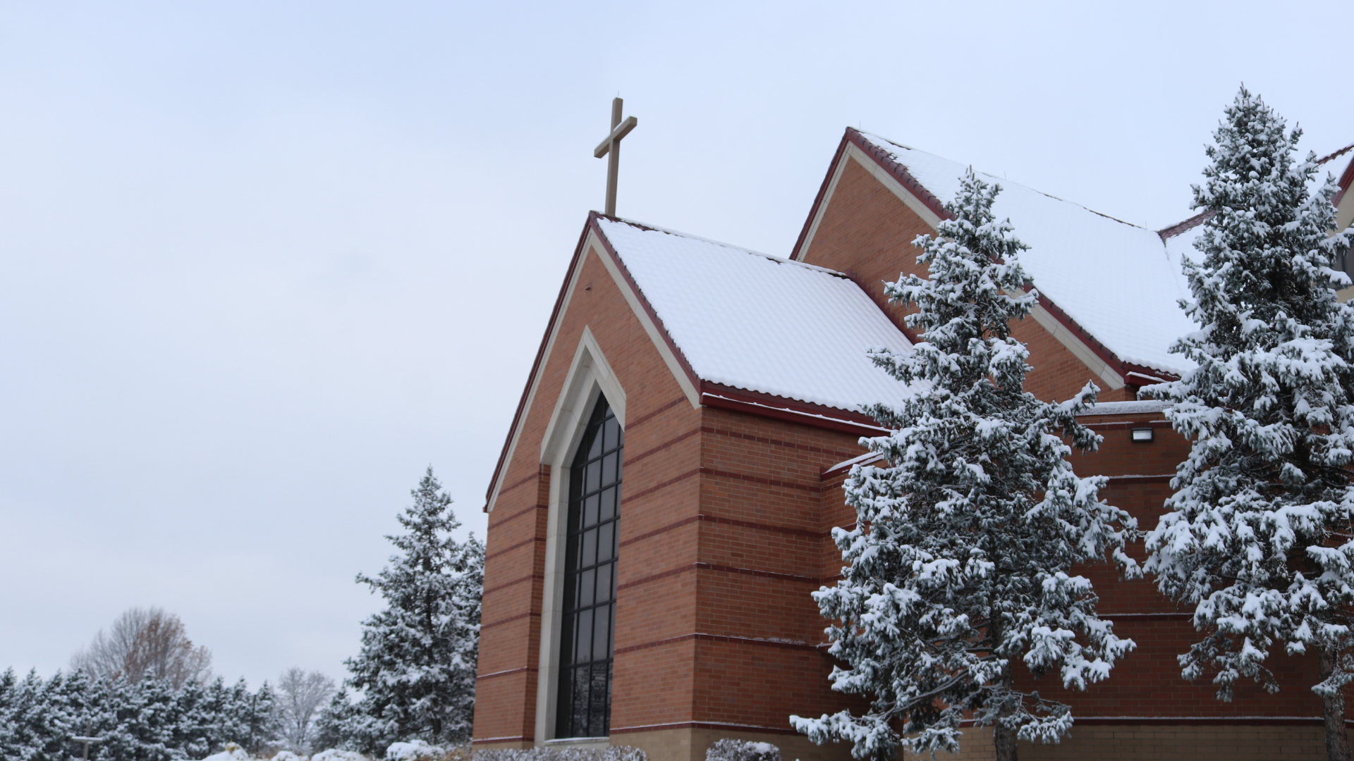 Website Homepage Dec 2025 no text.png