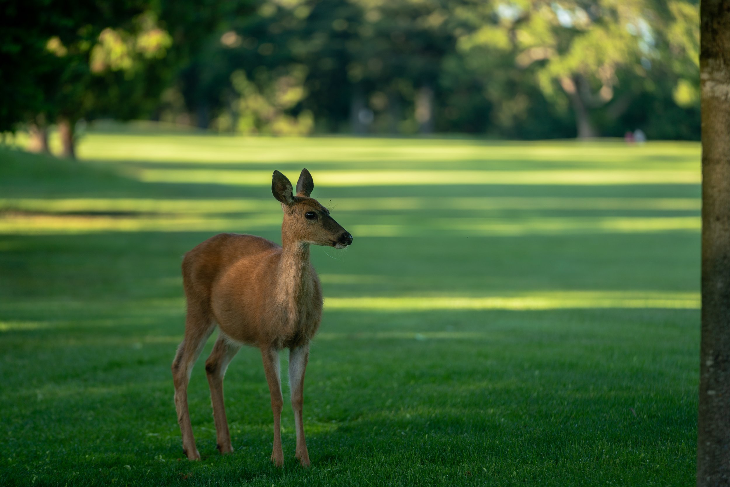 DSC01488-HDR.jpg