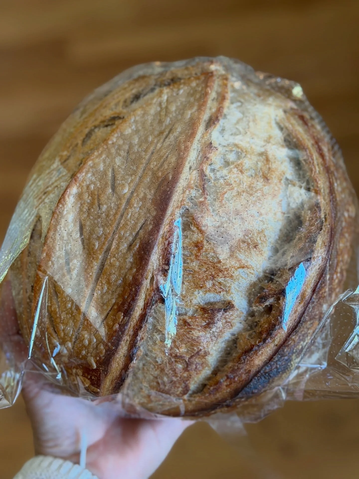 oat adn rye.jpg