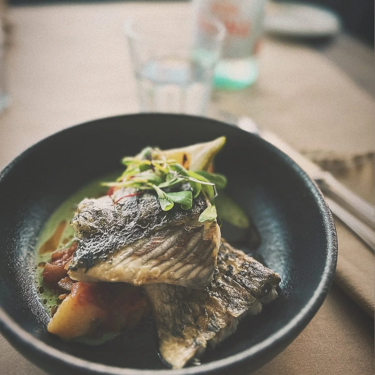 Tonight&rsquo;s special appetizer:
Barramundi 🐟🍅🌿
Caponata: zucchini, eggplant, potato and tomato 
Arugula emulsion