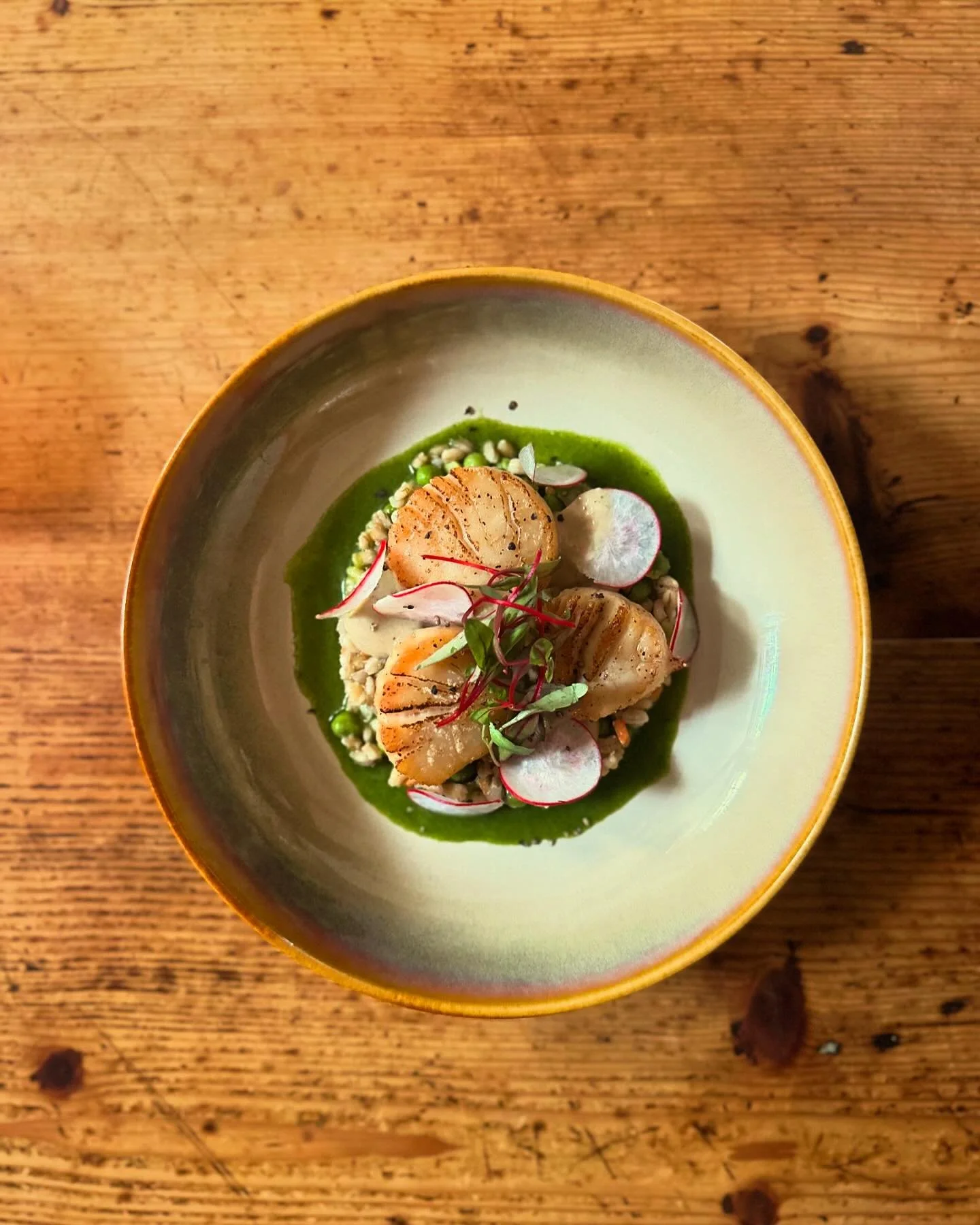 ⚓️Sea Scallop⚓️ 
 &bull;Barley salad
 &bull;Epplant Mayo
 &bull;Parsley + Lime 
  gazpacho