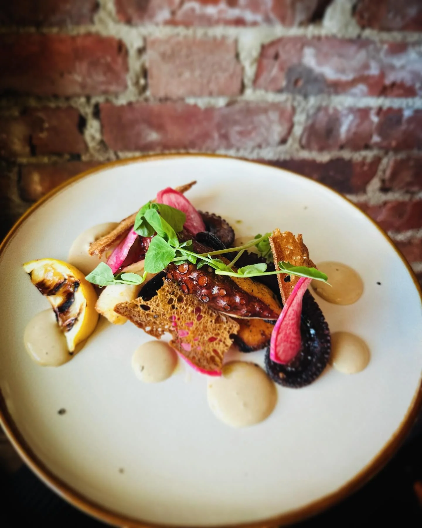 ✨our special tonight ✨
grilled octopus 🐙 
braised sweet potato 🍠 
black garlic mayo 🧄