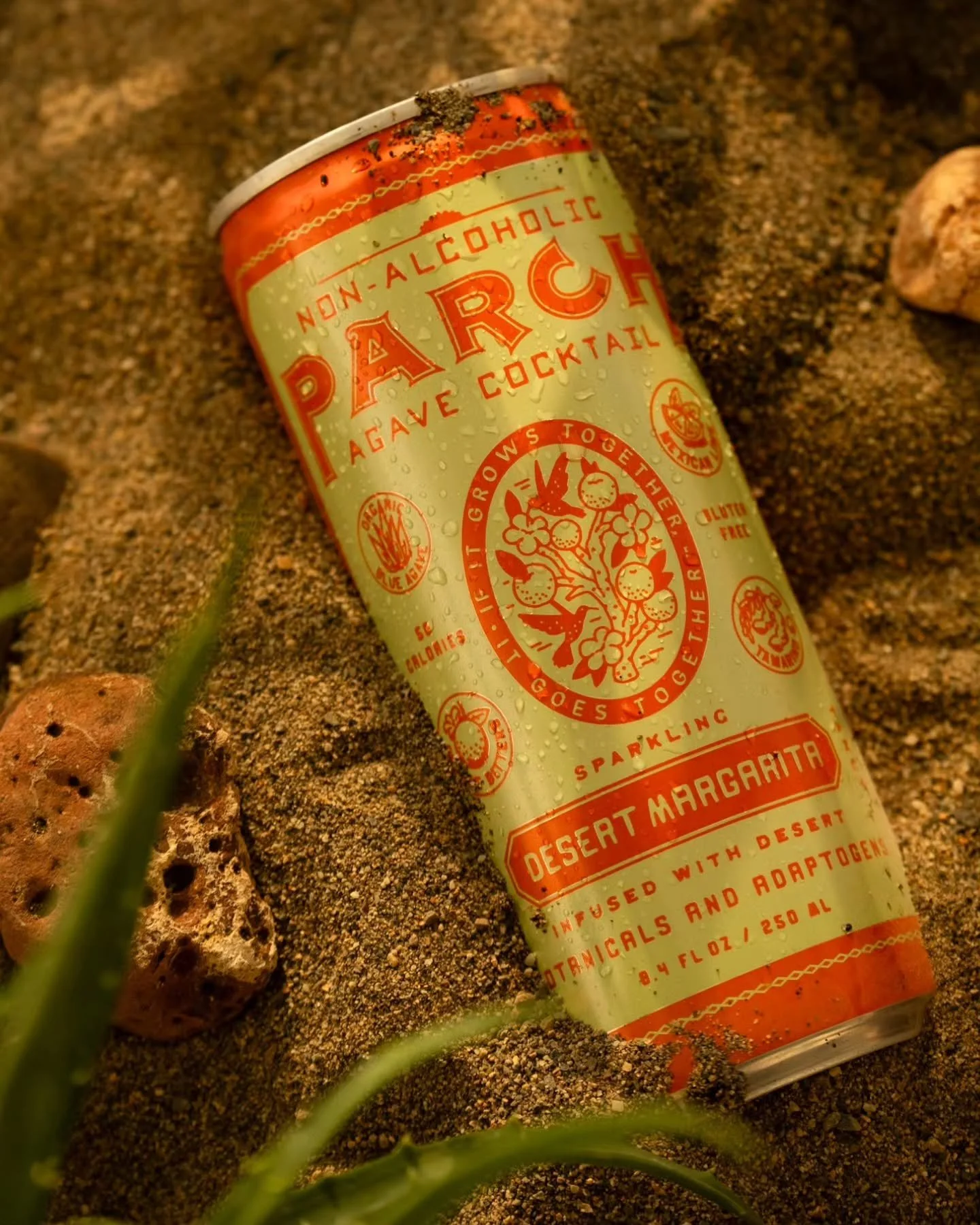Sometimes you find packaging that inspires you but also really enjoy the contents of it! That is what happened when I happened upon @drinkparch at a local store! Our house definitely consumes a lot of NA beverages. I love traditional margaritas so fi