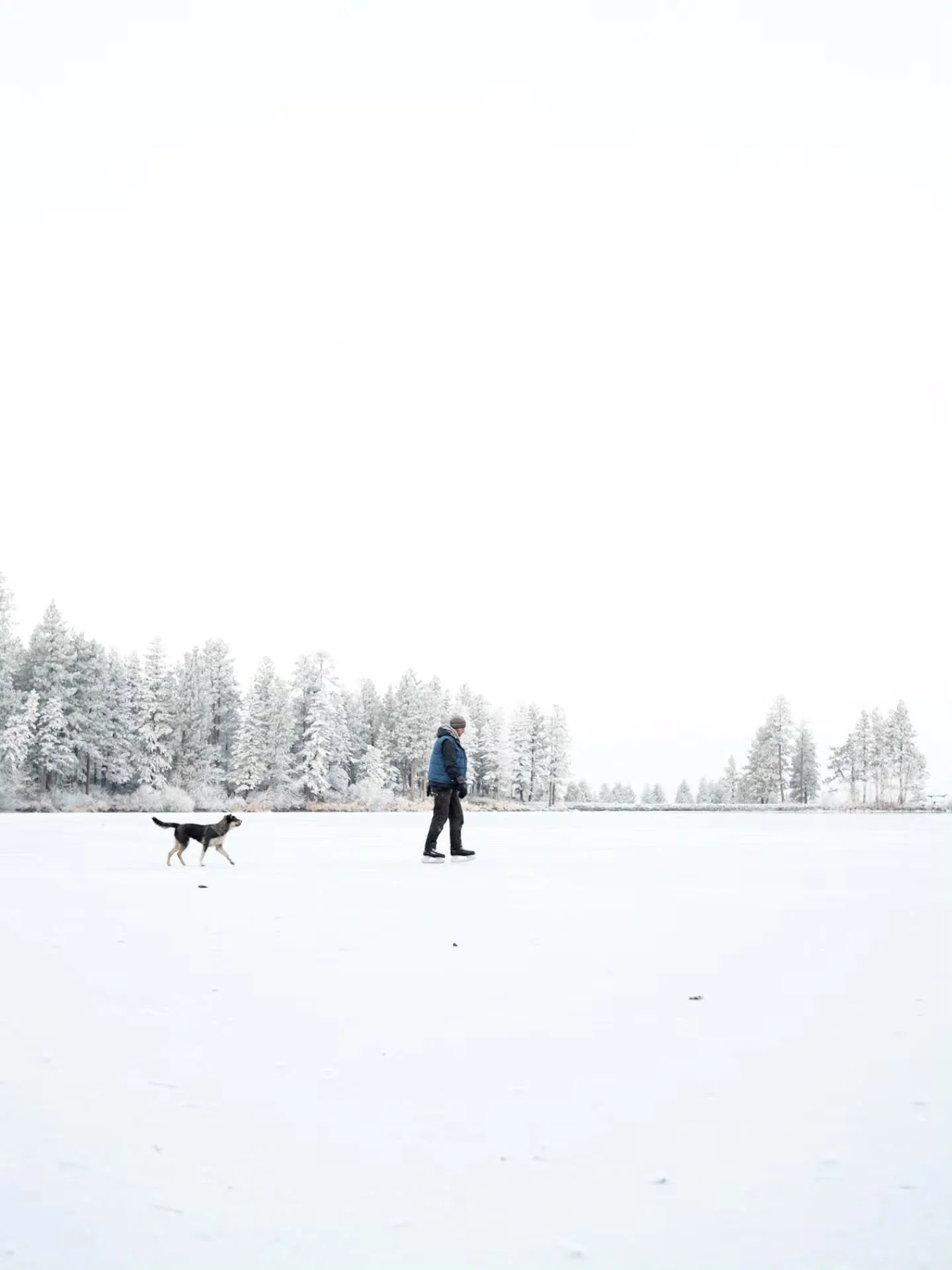 Growing up in Wisconsin, we not only had Lake Michigan a few minutes from our door, but also several small lakes that would freeze, and a community ice-skating rink at our fingertips! I was never great at skating, but I have fond memories of freezing
