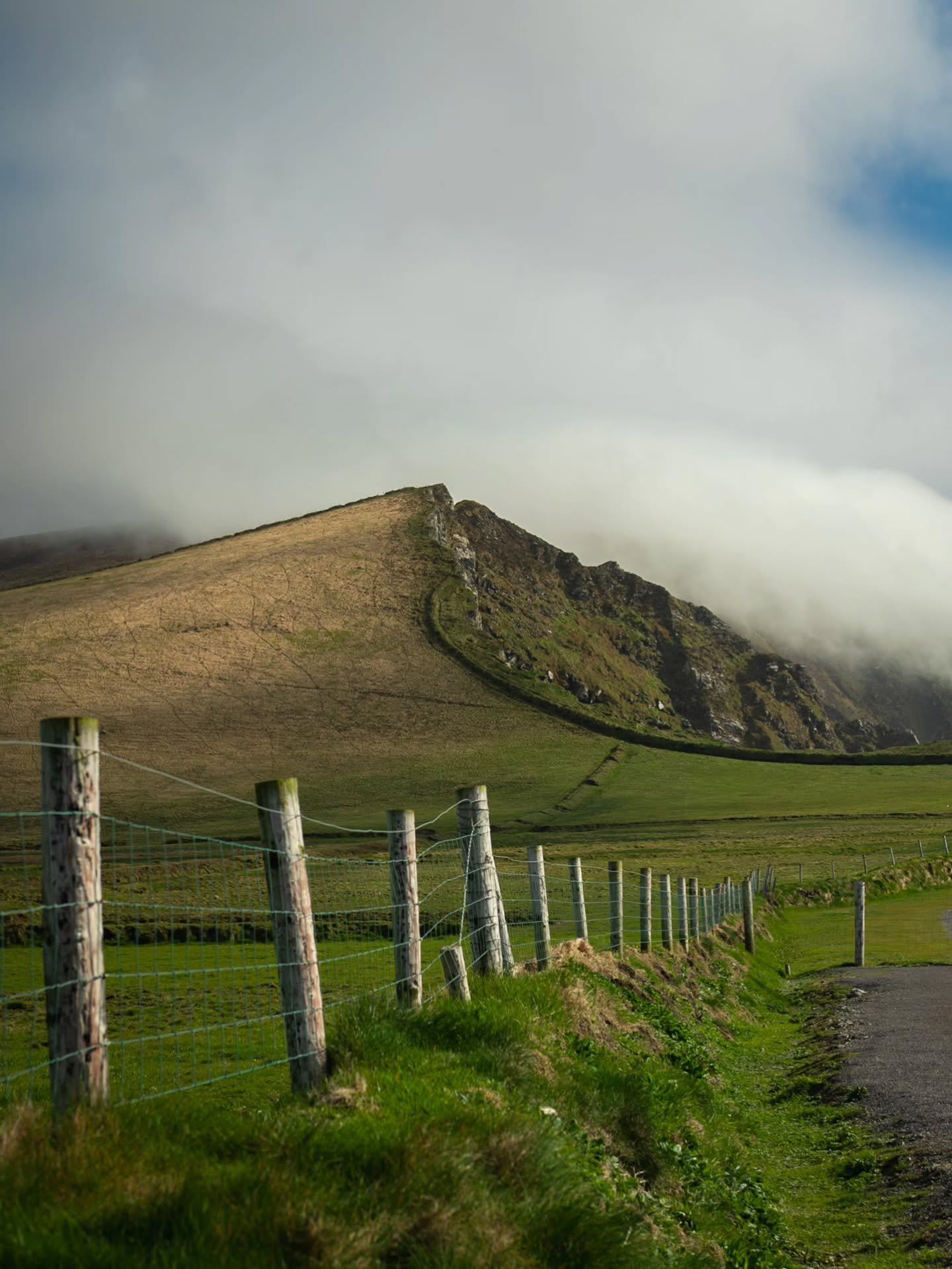 Last spring my husband and I spent 9 days traveling around Ireland with my 7 adult siblings and mom. Being my first time there I was in awe of the scenery! It wasn't for St. Patrick's Day but landed on Easter!

The most magical scene I wasn't able to