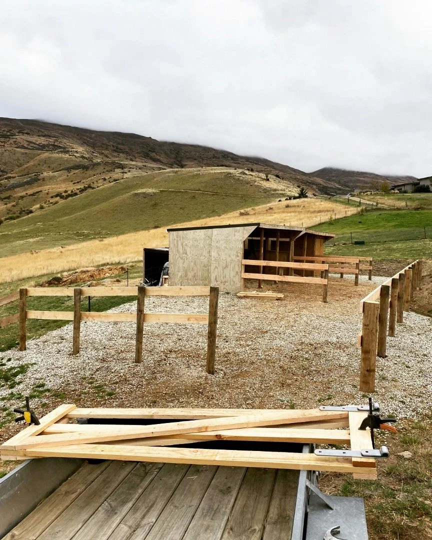 Today I'm finishing up building the last gates of this horse stable complex. A cool space and I'm sure the horses will highly appreciate it with winter on the horizon.

Next up - digger work for the rest of the week! 

#thereshouldbeadiggeremoji