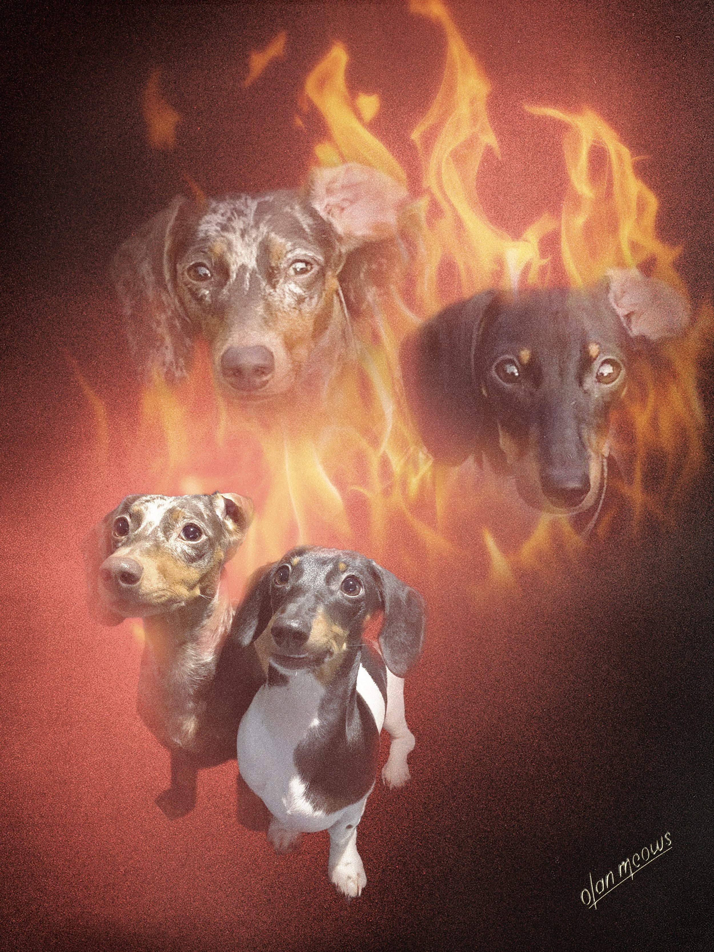 Group Metal flames with logo.jpeg