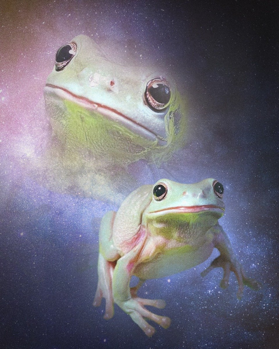 Space 1.jpg