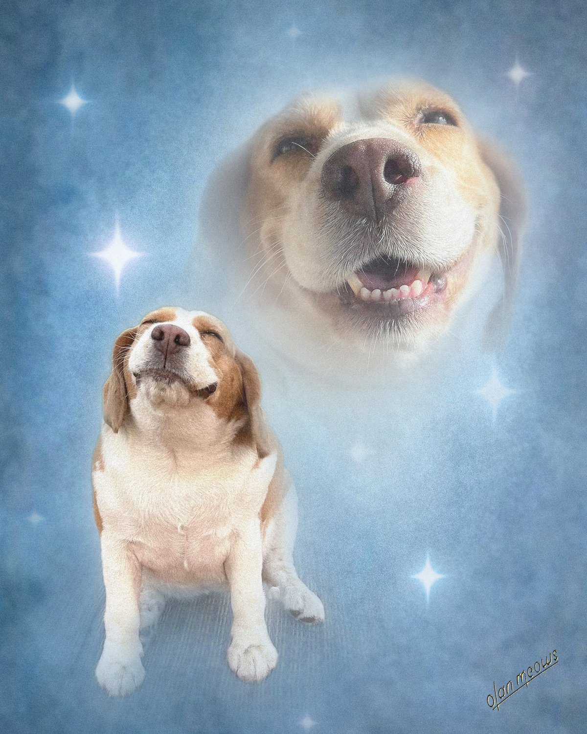 BigMooToo Blue Stars.jpg