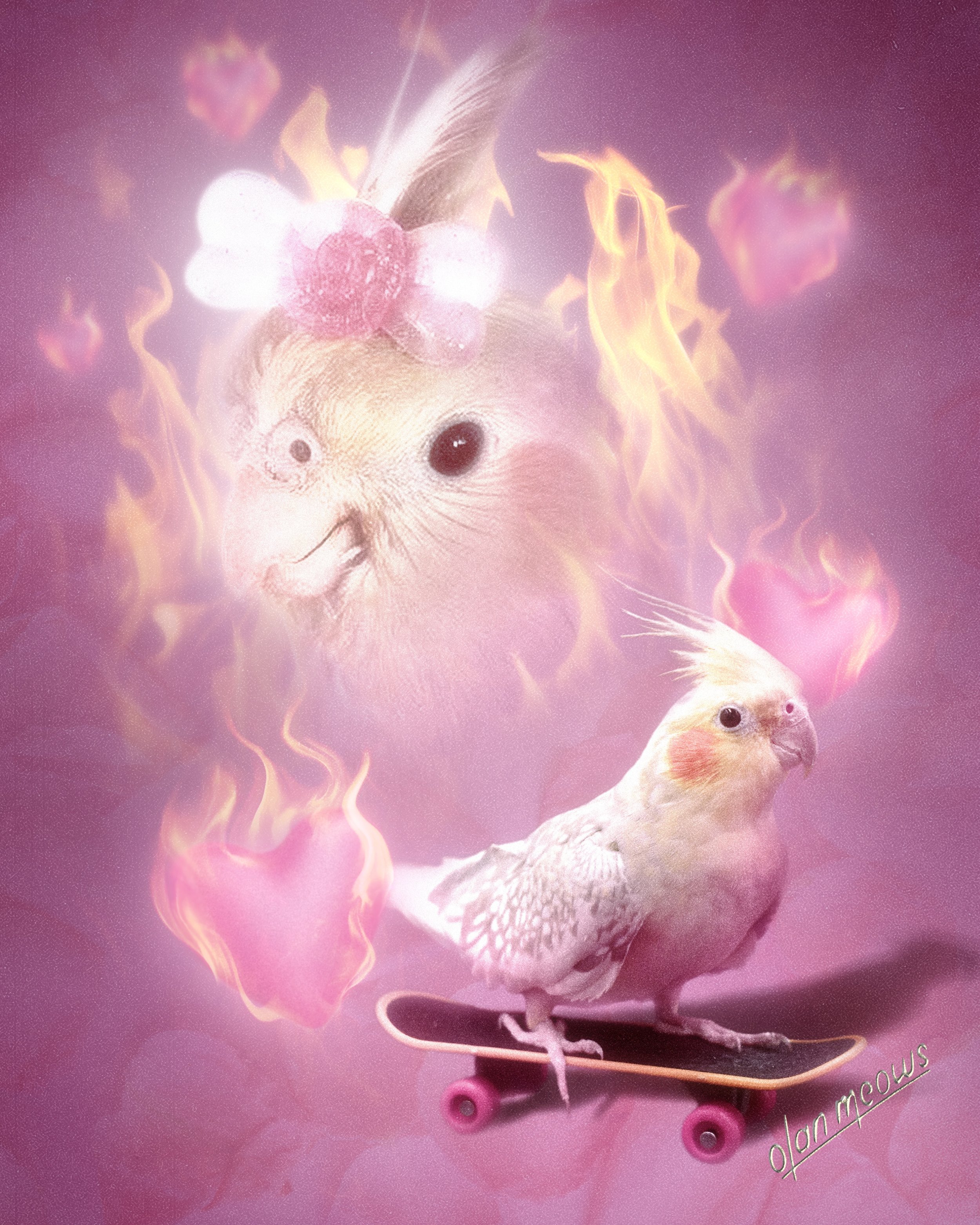Cockatiel Pink Flames Logo 2.jpg