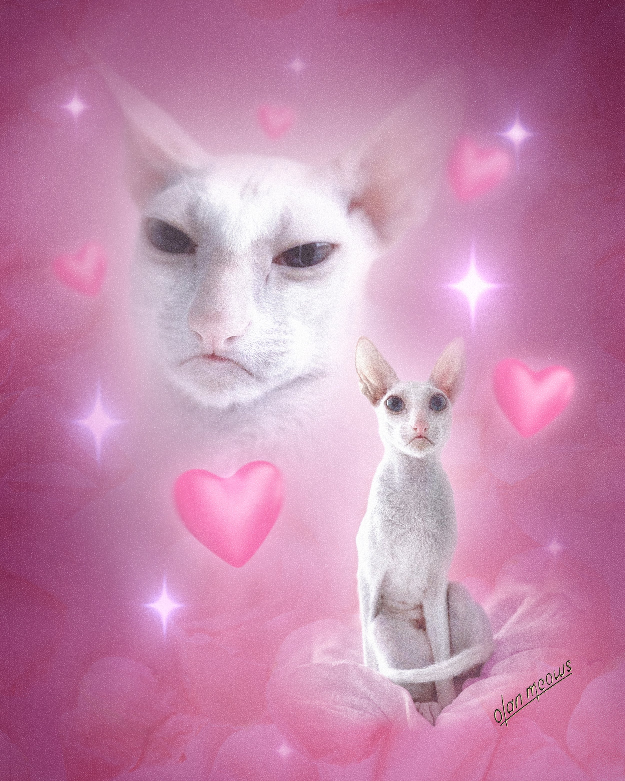 Sirius hearts stars logo.jpeg