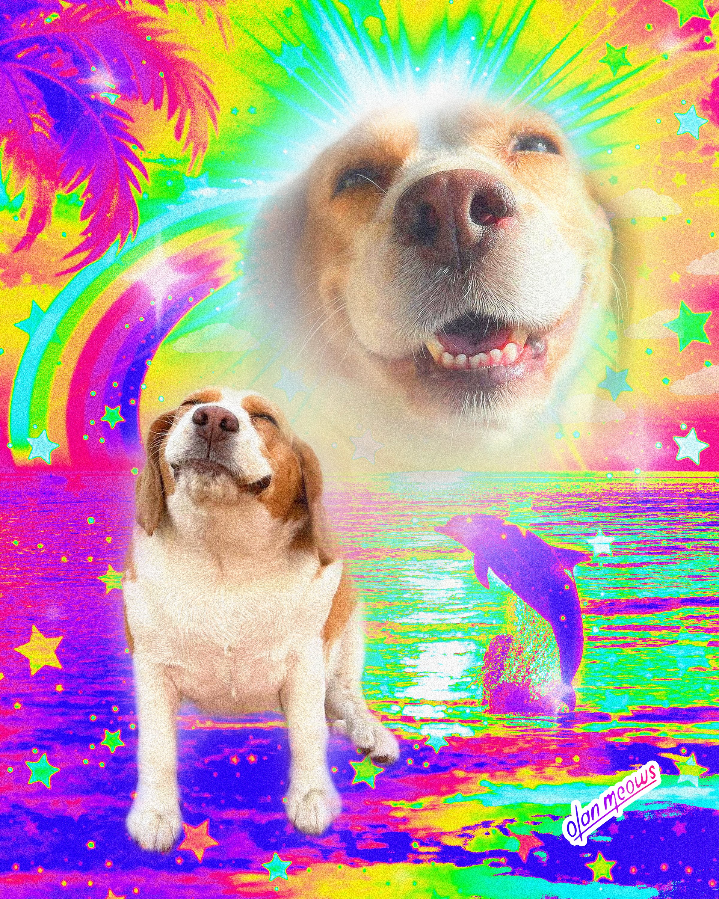 LISA FRANK 2.jpeg