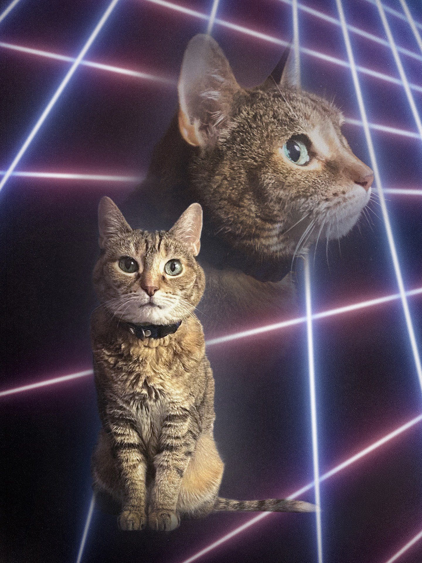 Lasers 3 copy.jpg