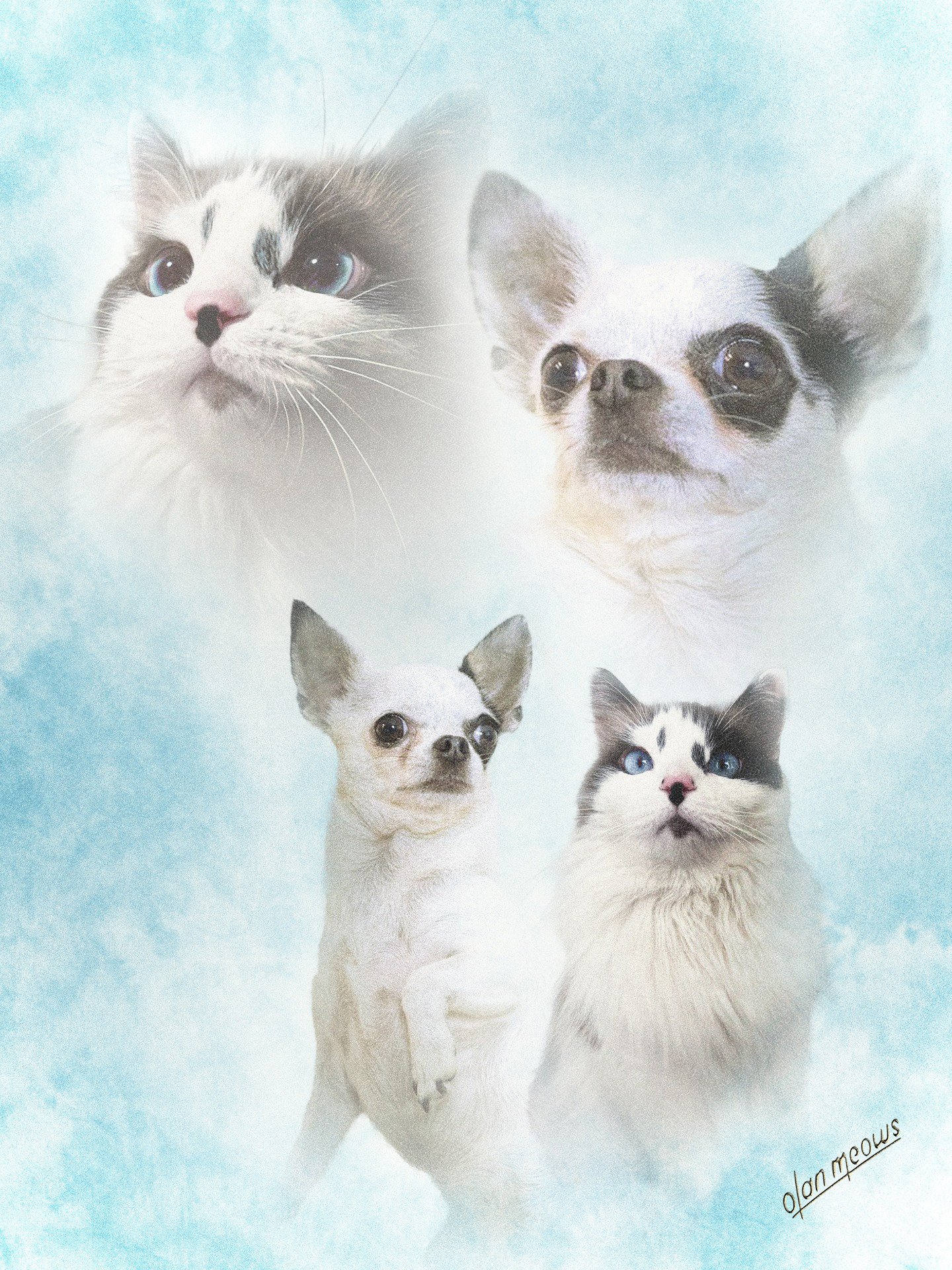 Light Blue Multi 2 copy.jpg