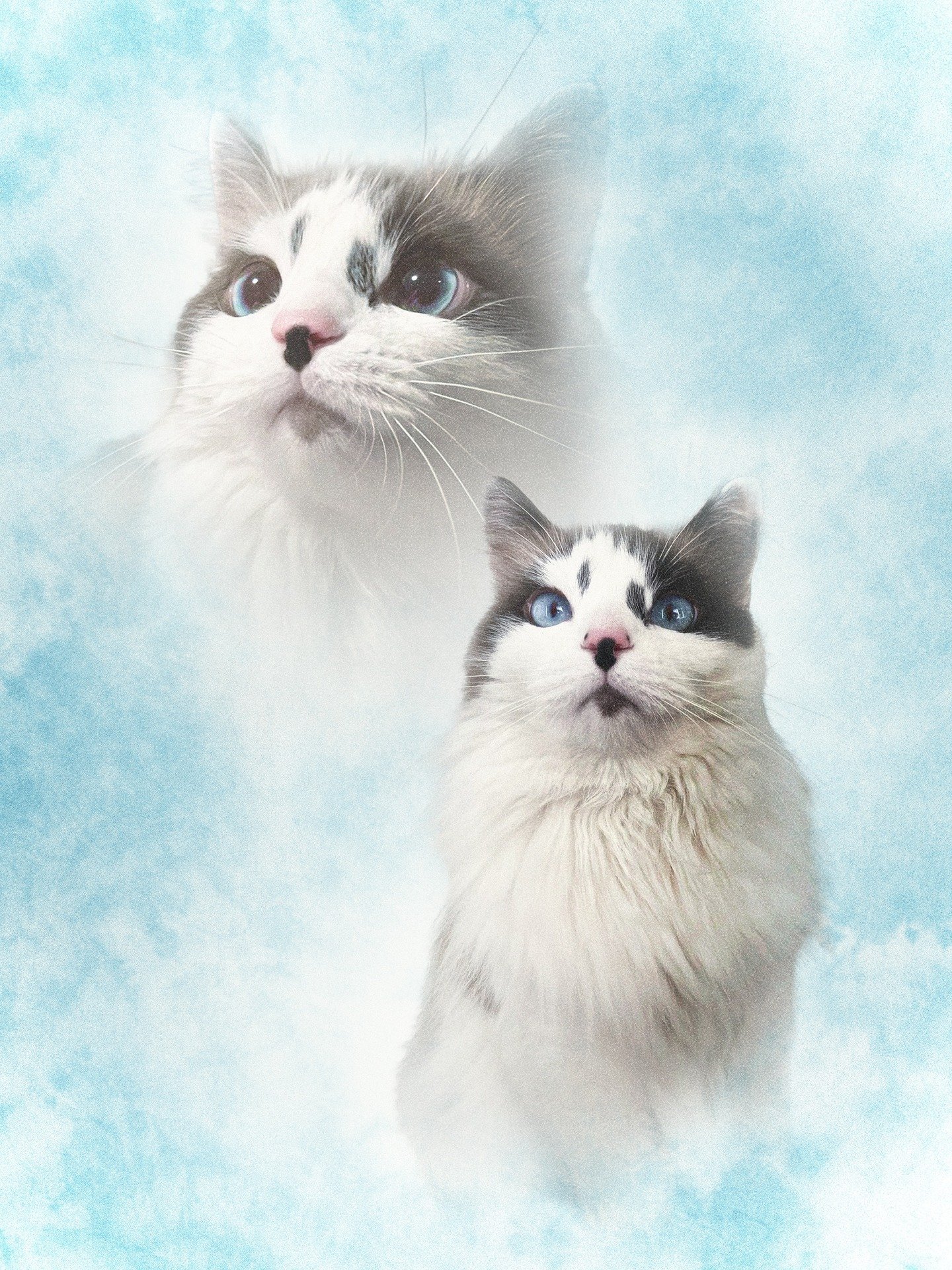 Light Blue 1.jpg