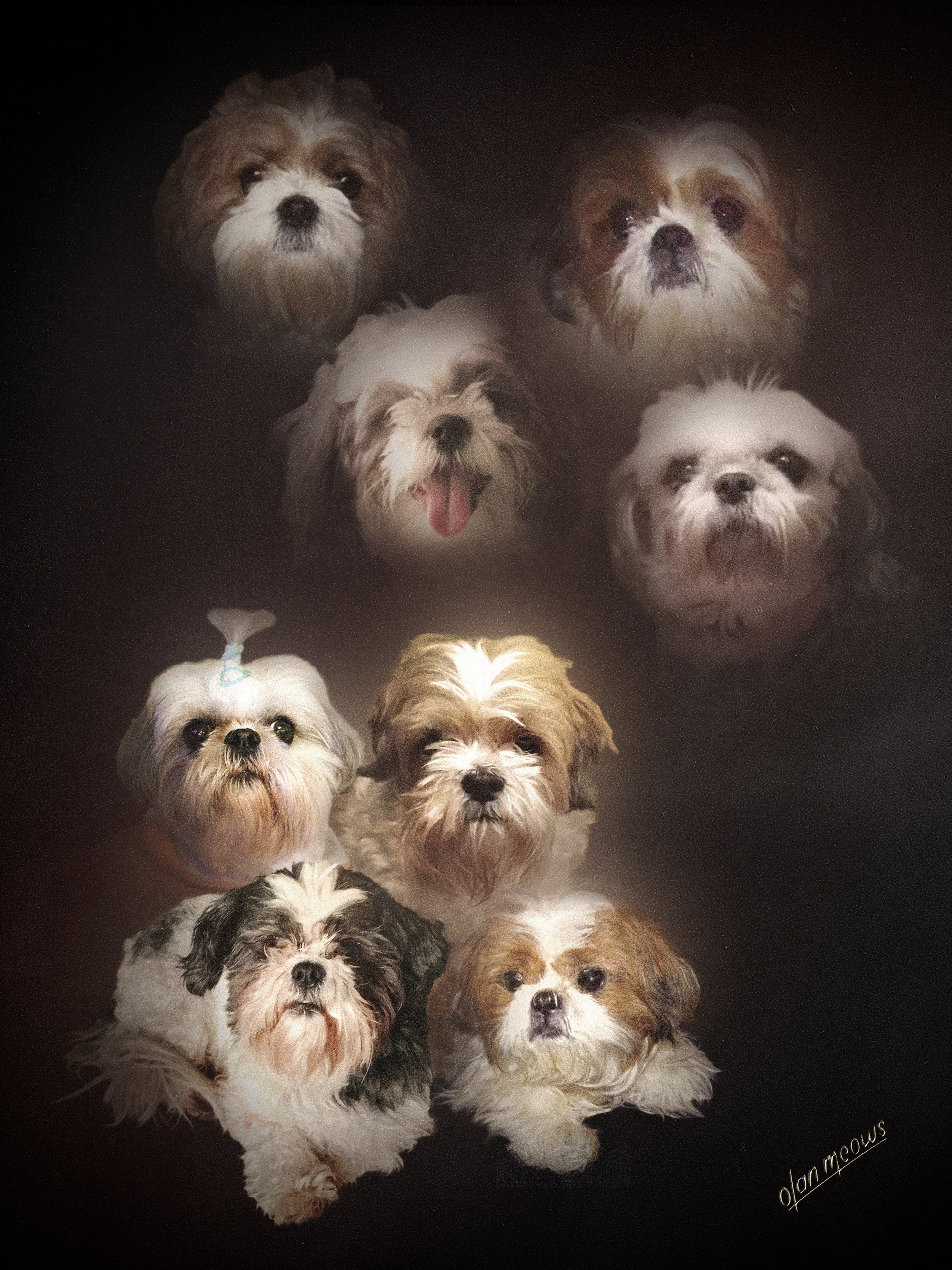 Sara Clark Pet Portrait 2.jpg