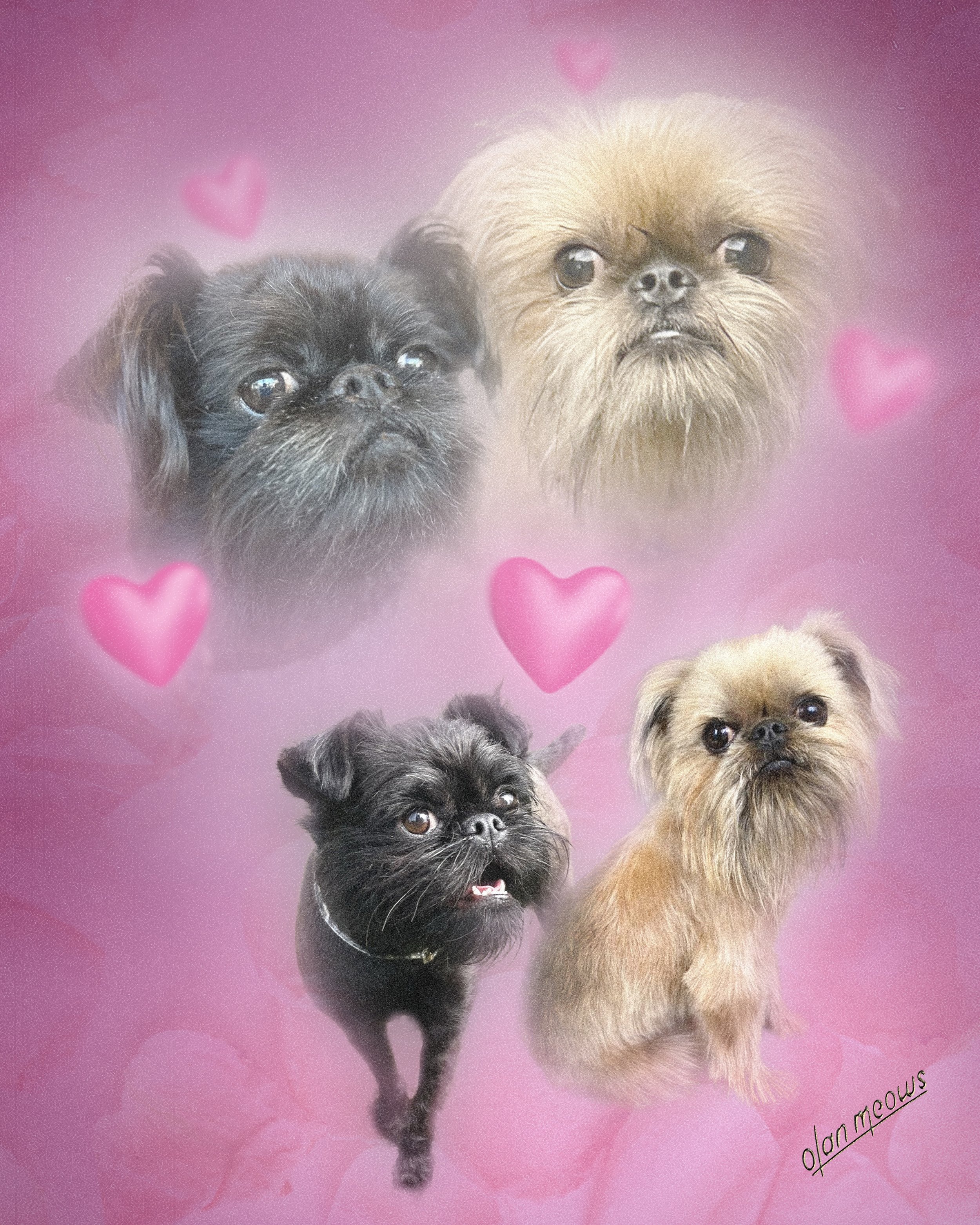 Pink multi hearts logo.jpeg