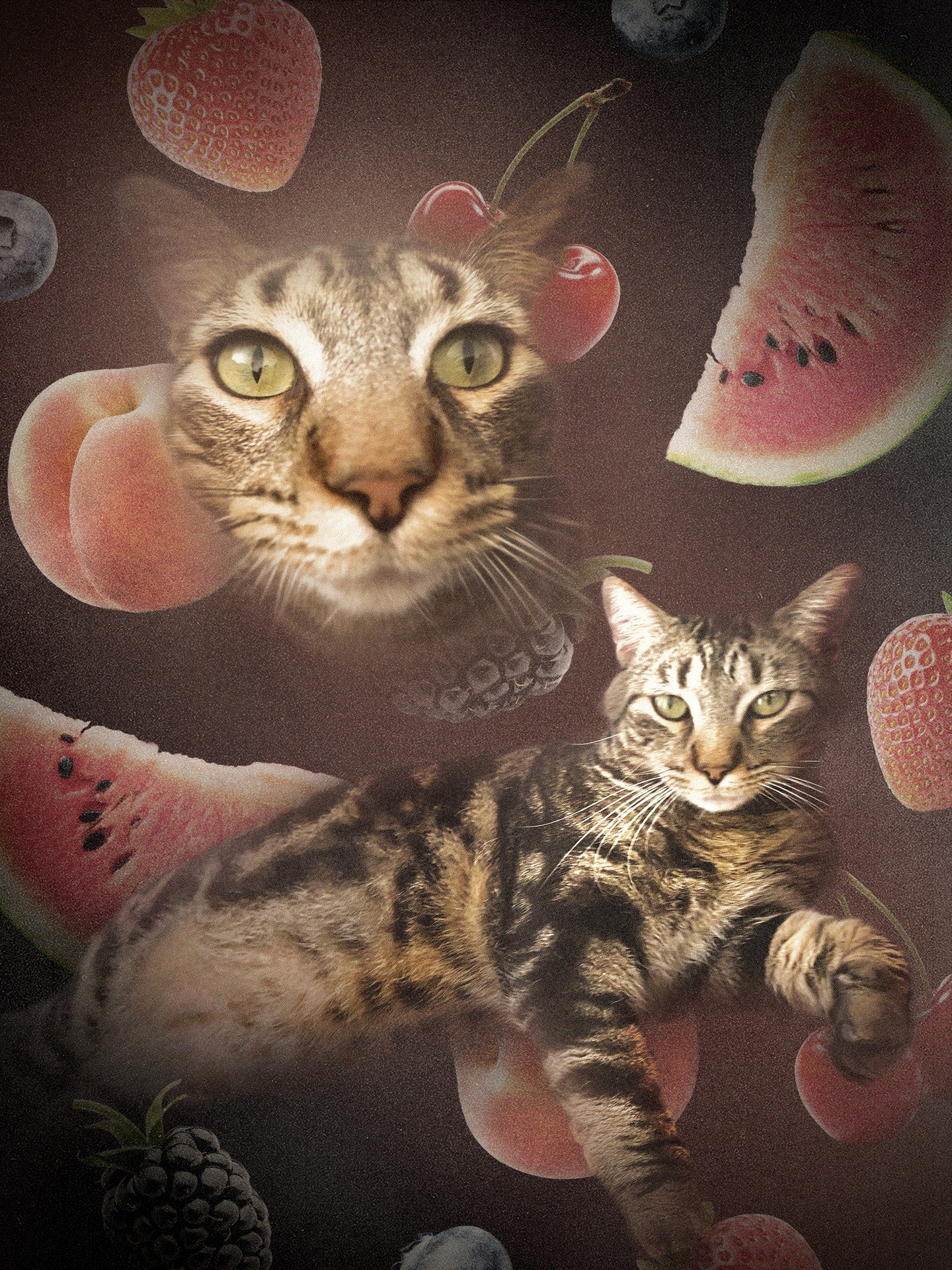 Custom 2.jpg