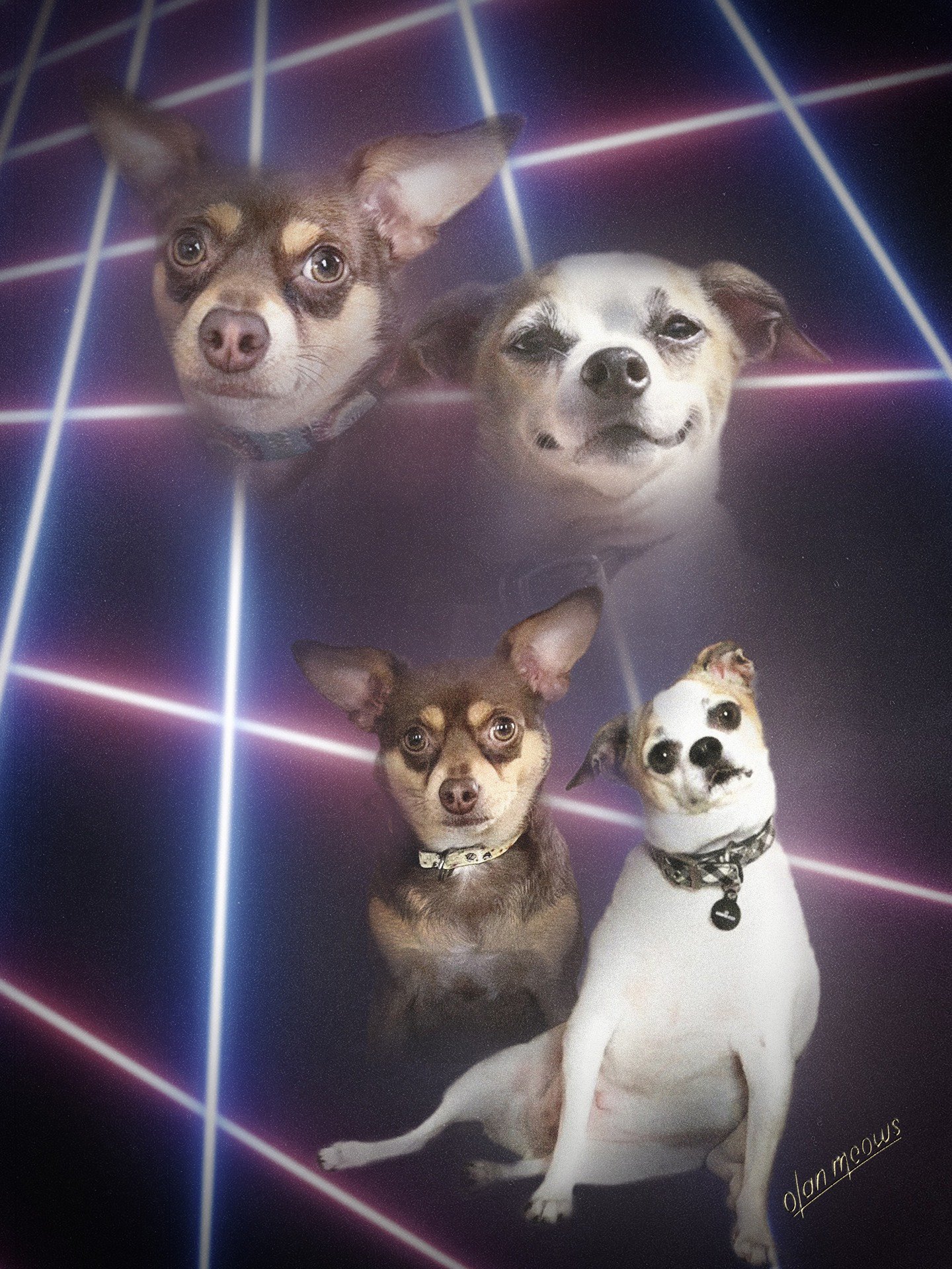 Group lasers 1 copy.jpg