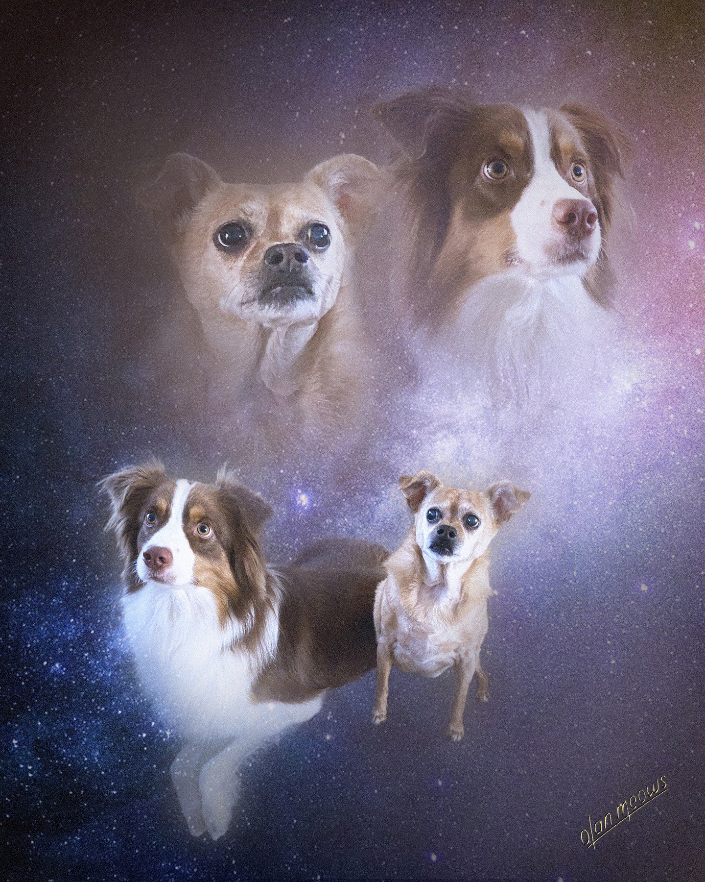 Group space 1 copy.jpg