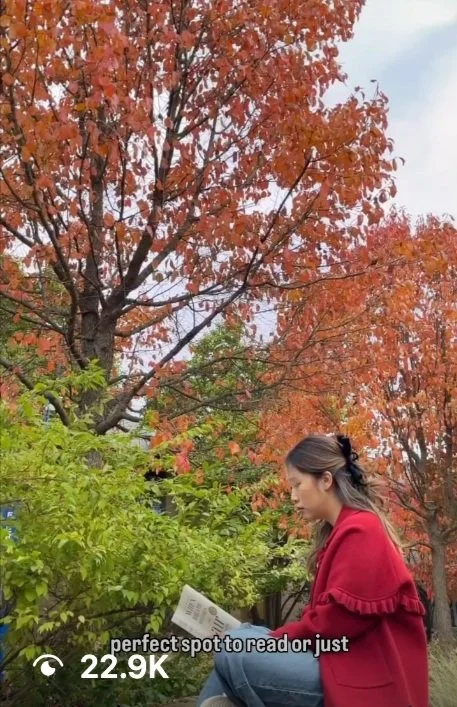 AU Campus Fall Instagram Reel