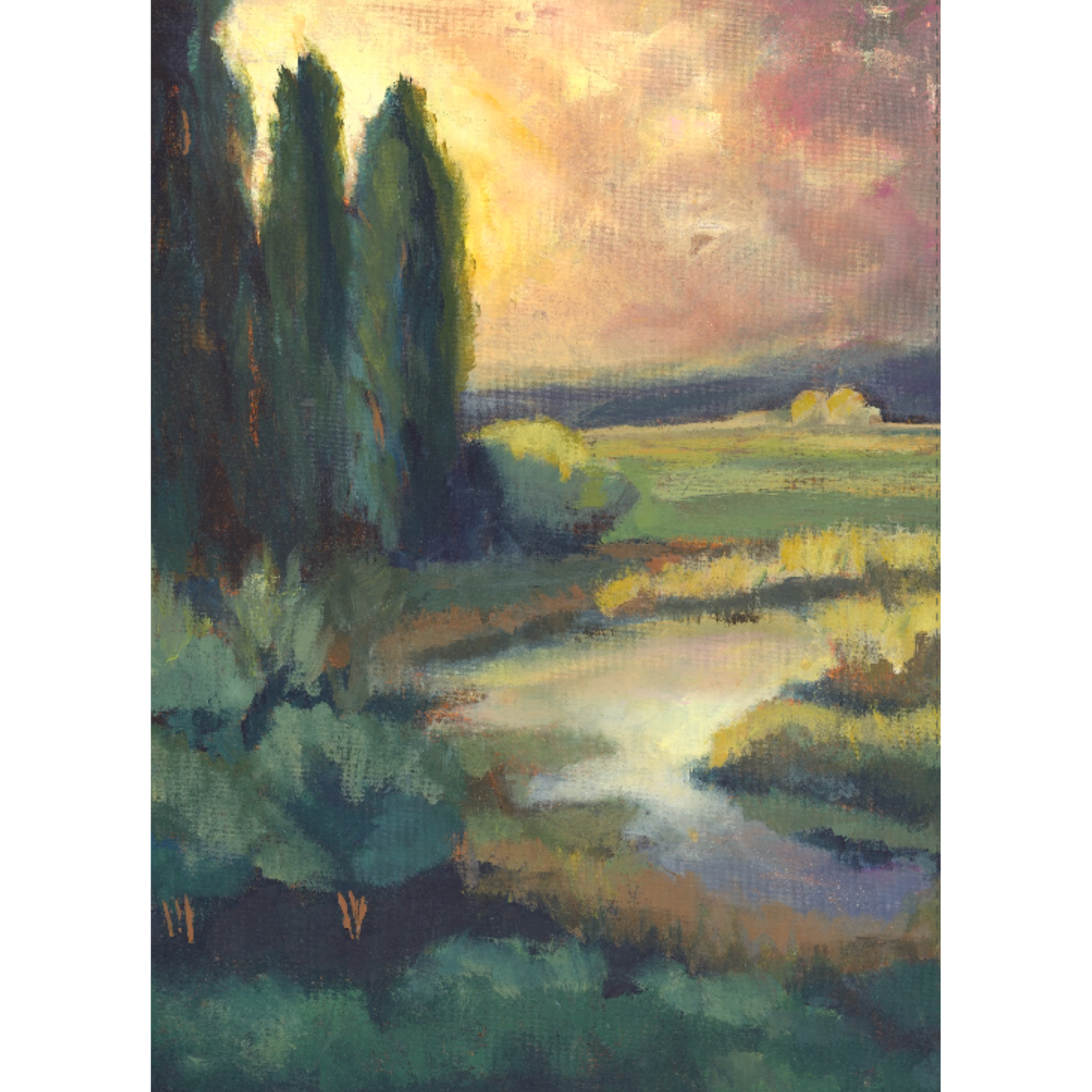 Evening Light
