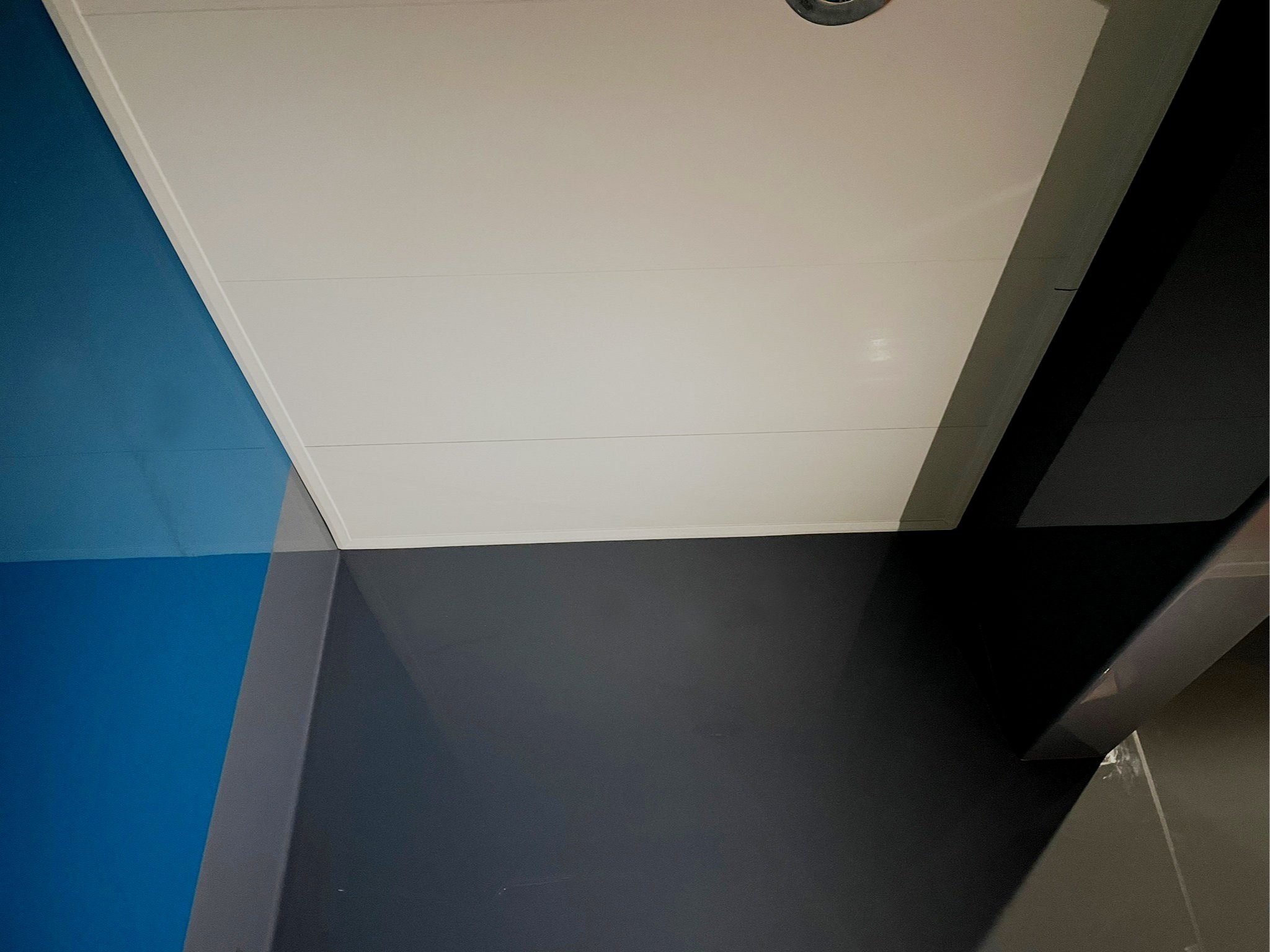 Hygienic Ceiling Systems Essex London