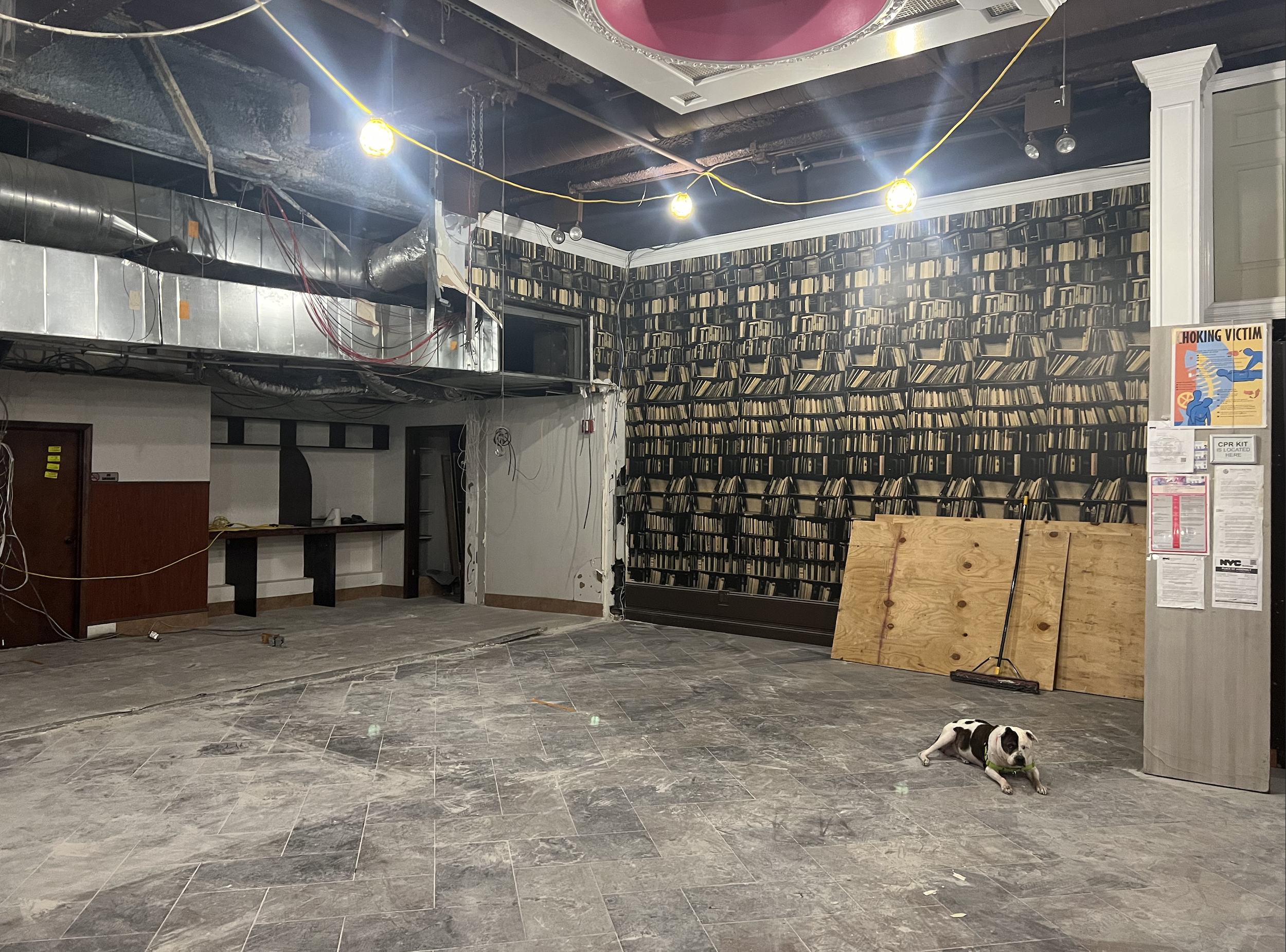 Screen Shot 2024-04-29 at 3.45.28 PM.png