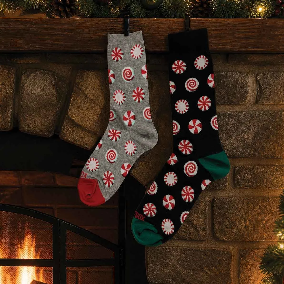Fine-Lines-Company---HOTSOX-FW26-367.jpg