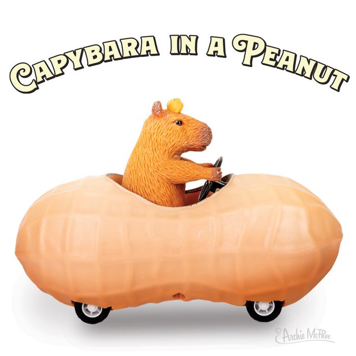 Capybara-in-a-peanut.jpg