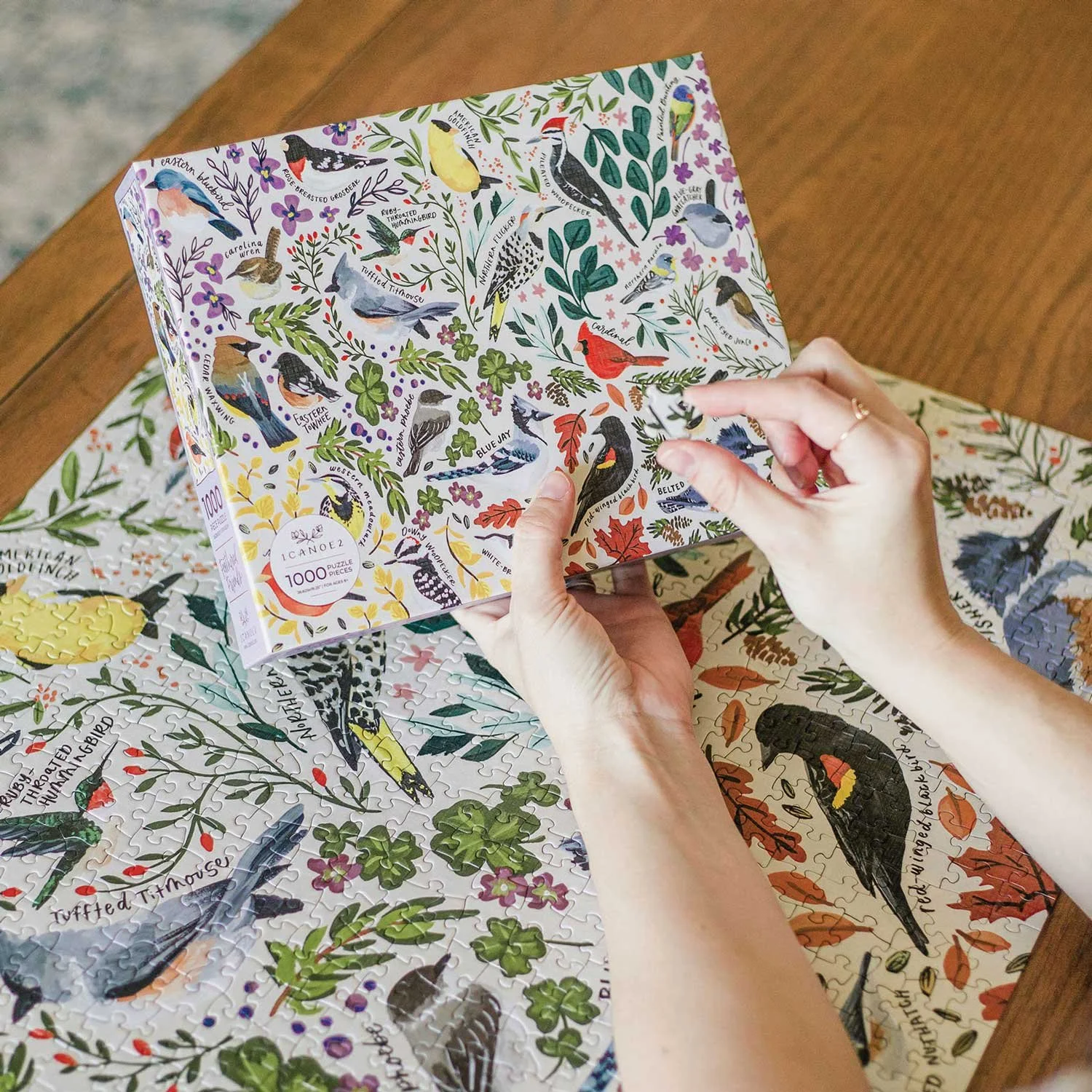 DIGI_1766595931568-(1)-79 - Copy.jpg