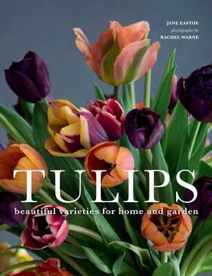tulips-9781423651291_lg.jpg