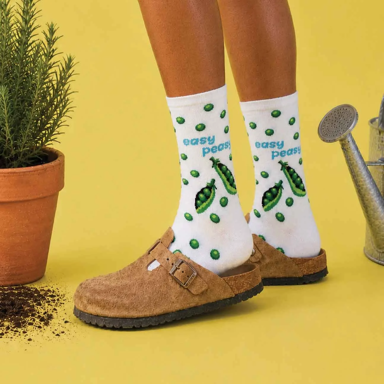 Fine-Lines-Company---HOTSOX-FW26-251.jpg