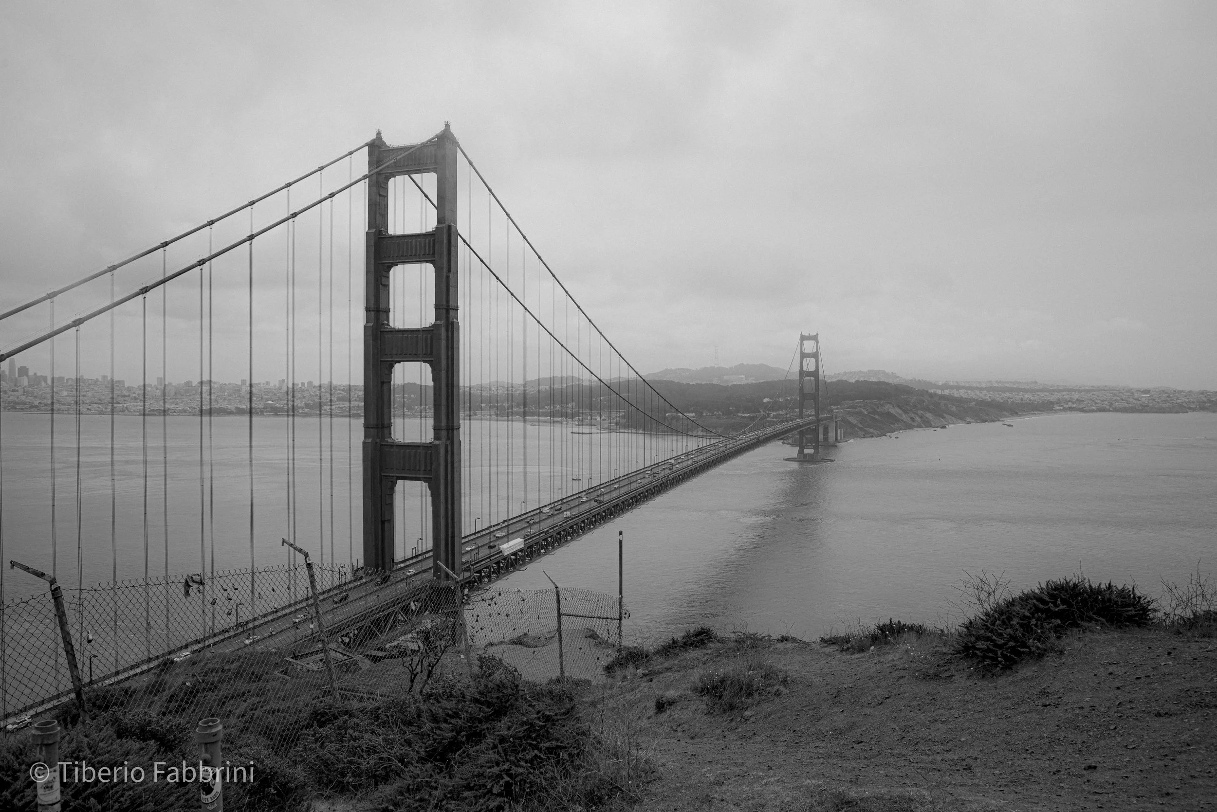SF24-37.jpg