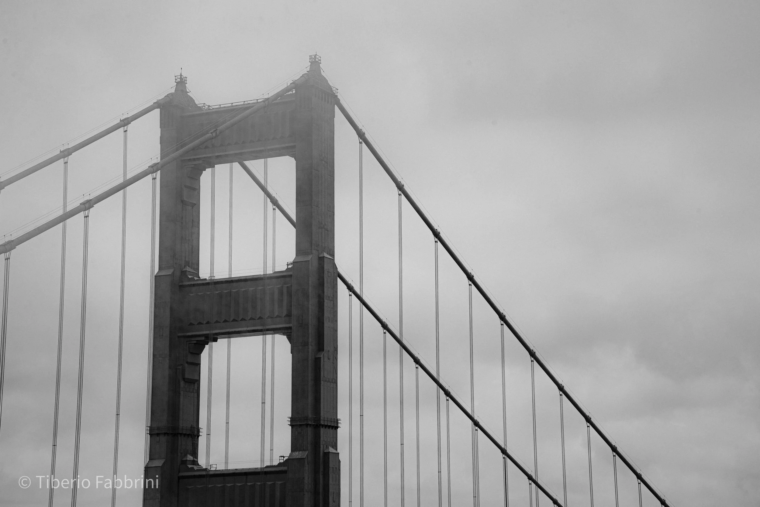 SF24-11.jpg