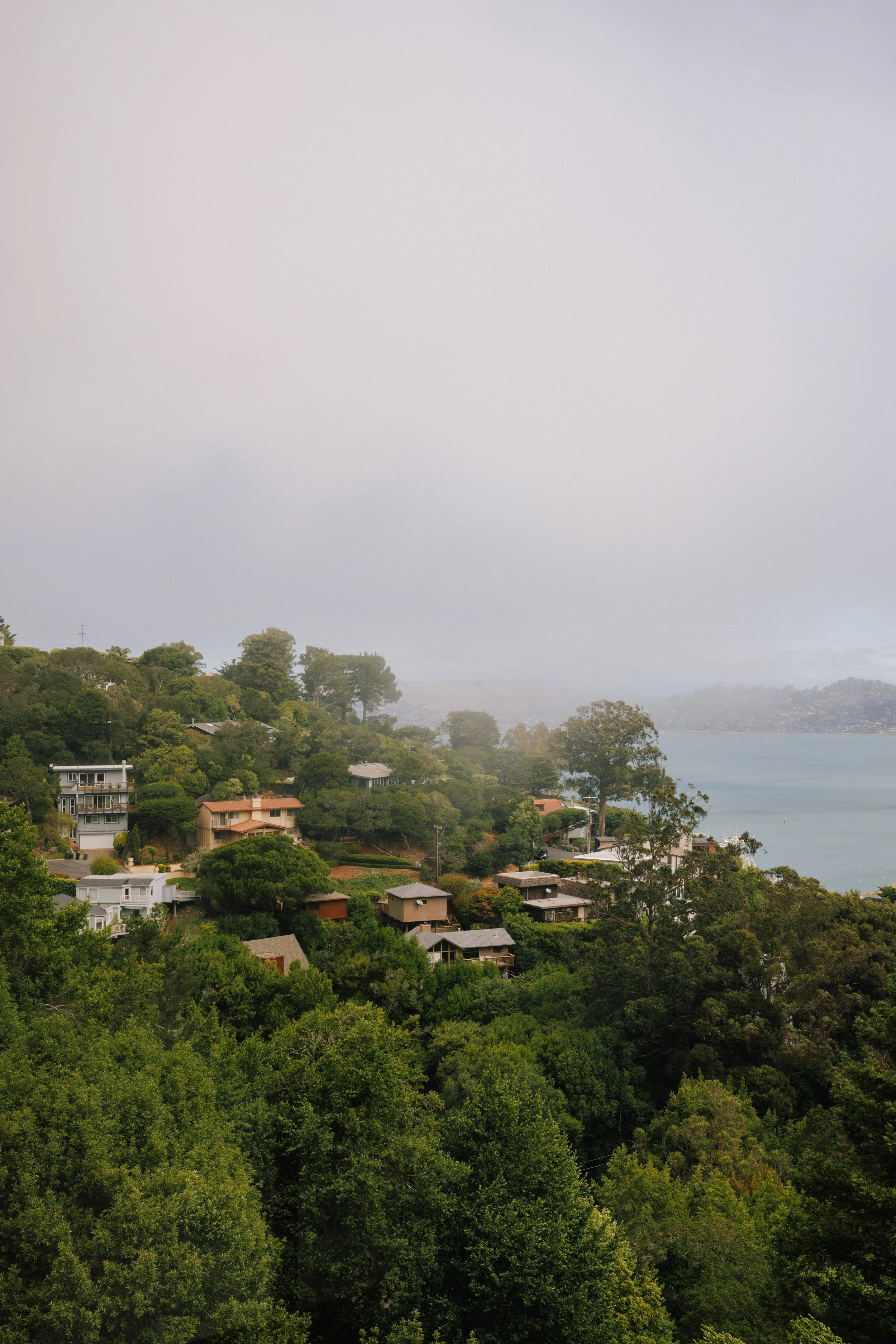 Hilly landscape of Sausalito with trees and houses near a body of water under an overcast sky, the view from a project by Mura Studio.