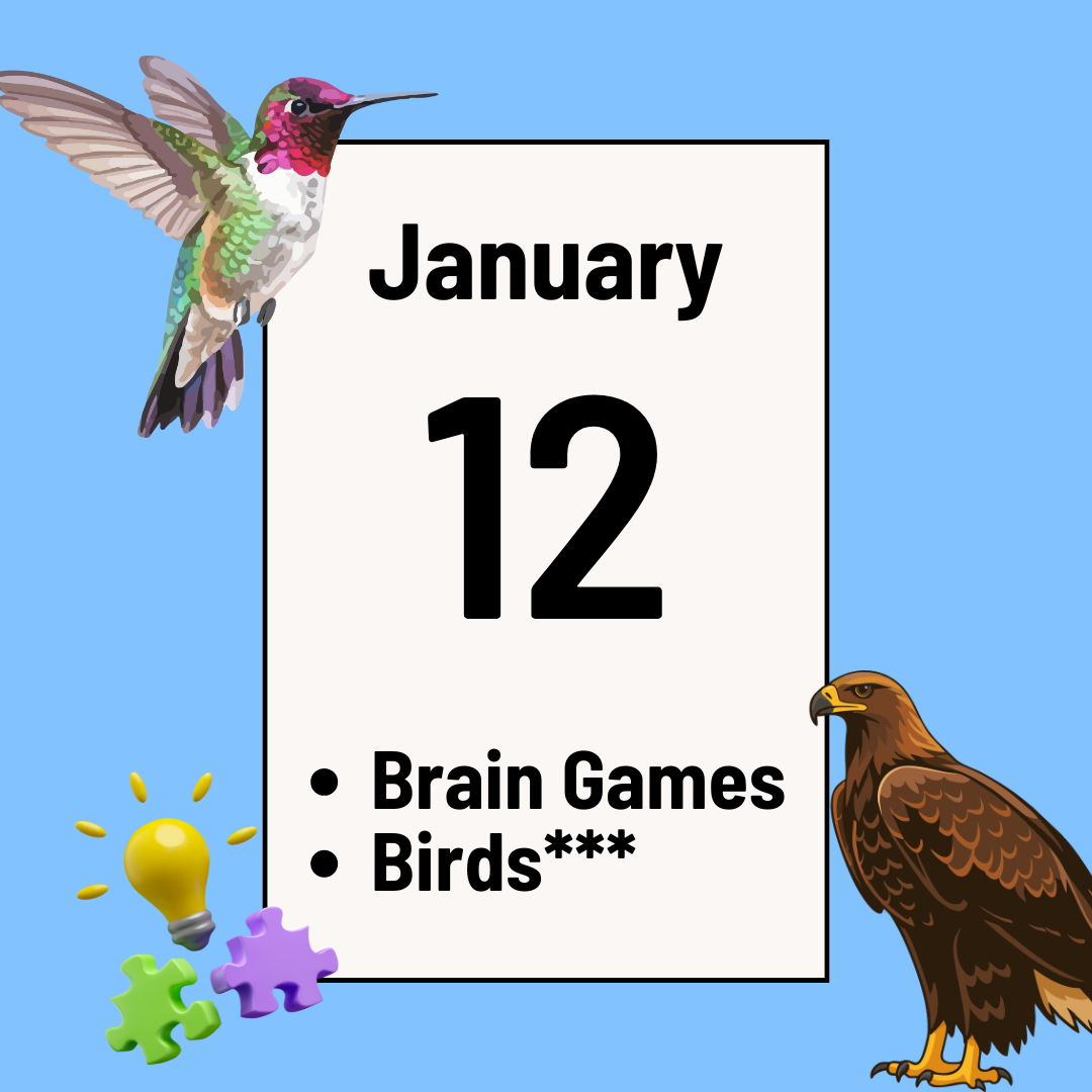 Bird Trivia*** and Brain Games Night