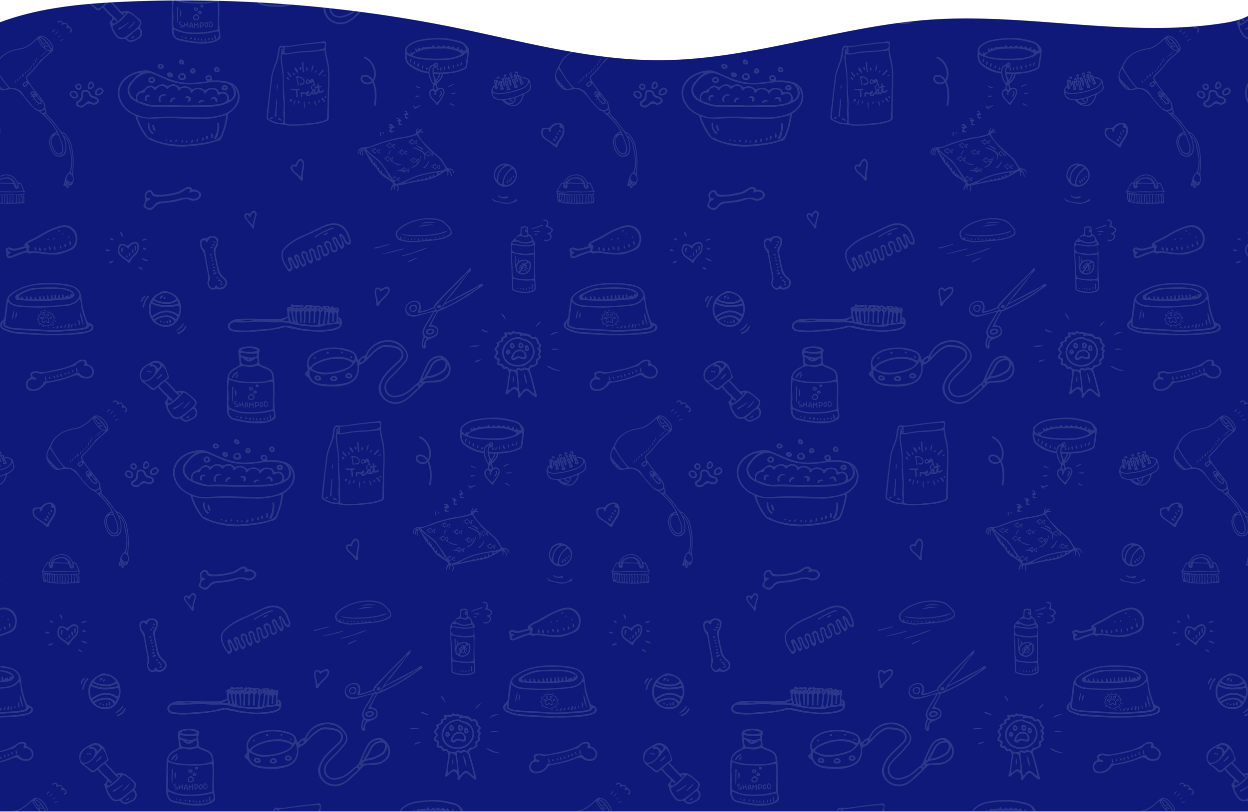 contact-splish-splash-dog-groomers-for-the-ultimate-dog-grooming