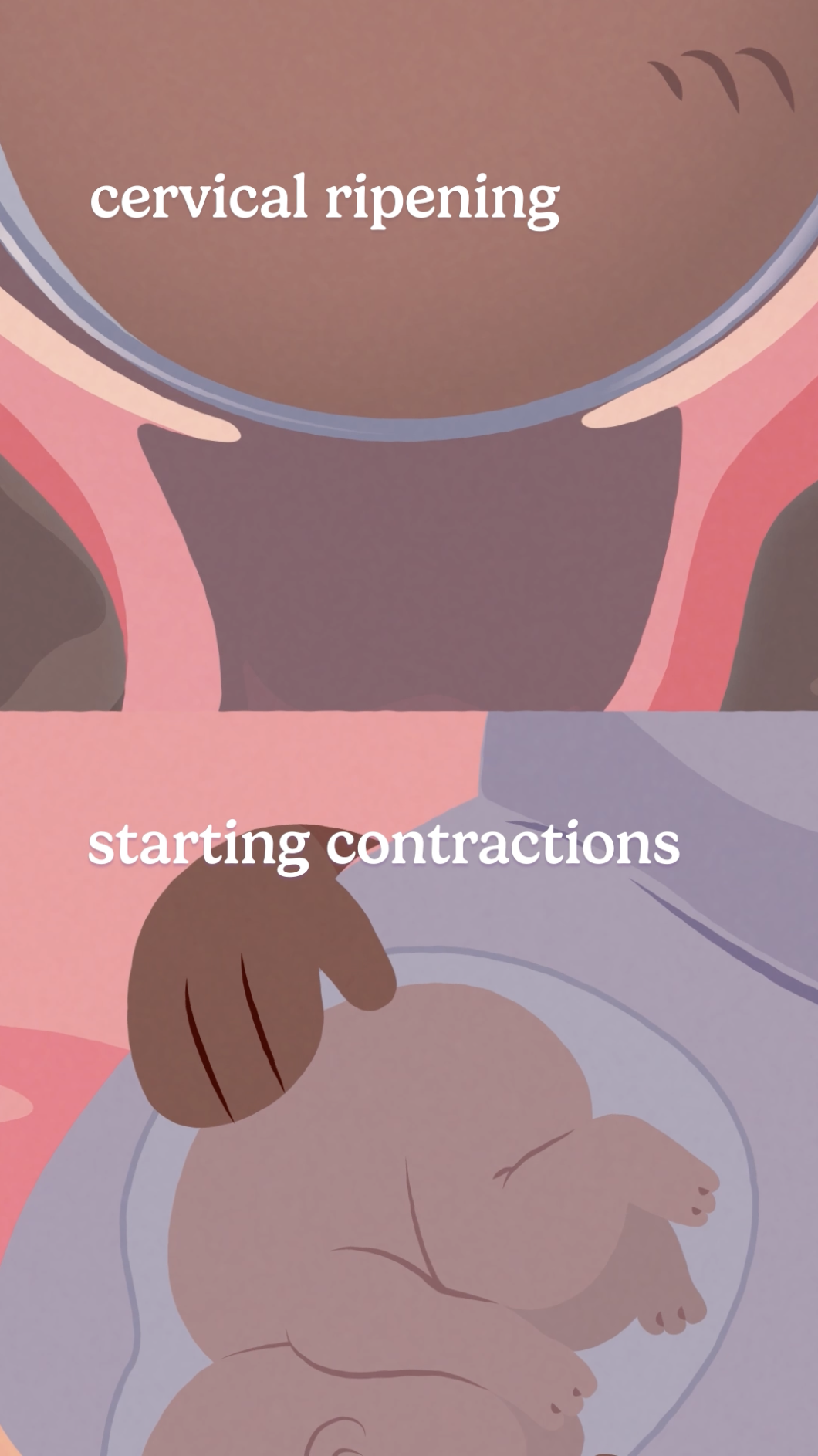 Screenshot 2025-11-02 at 10.32.44 PM.png